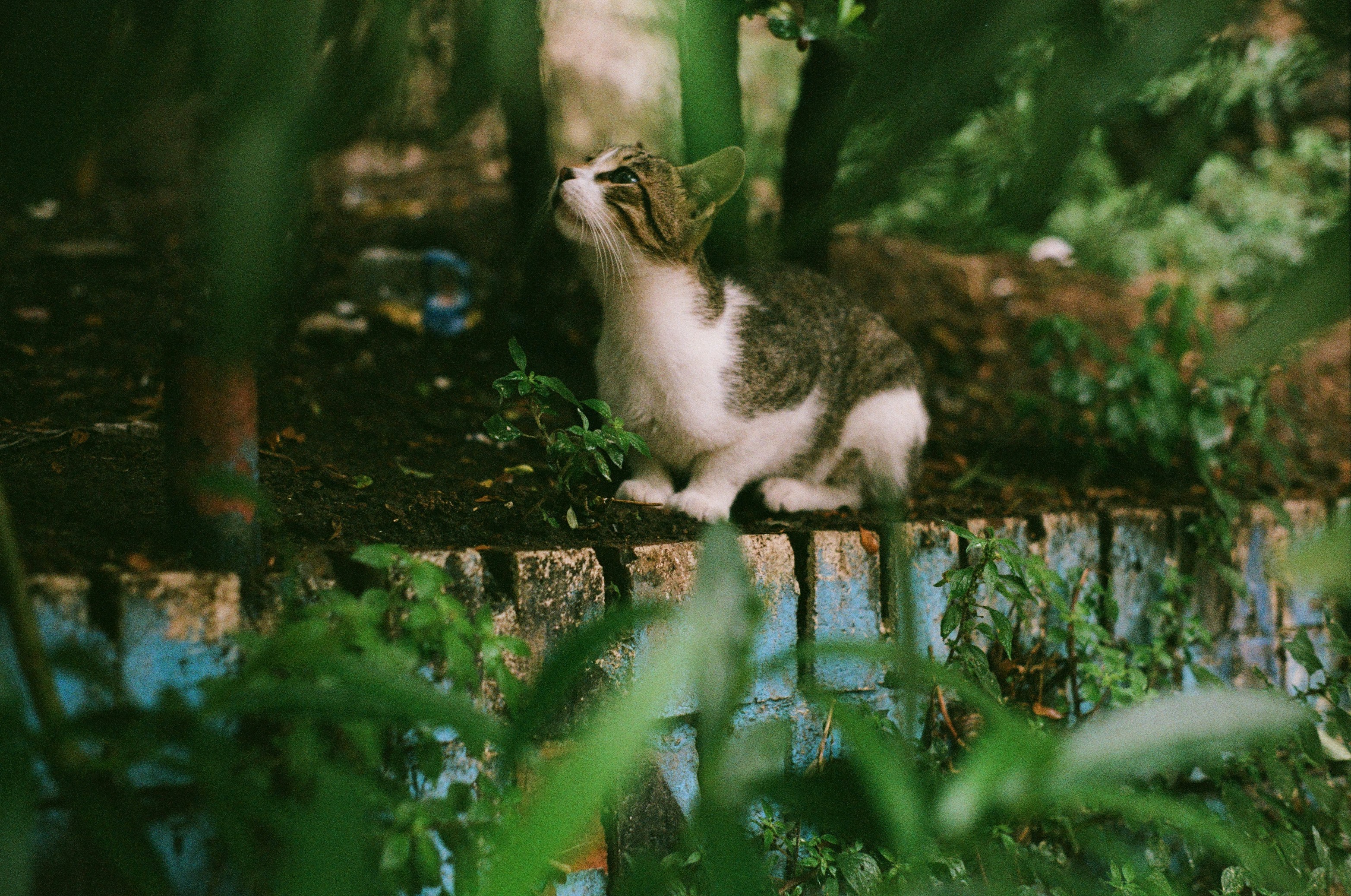 Photo by kateryna_p11111