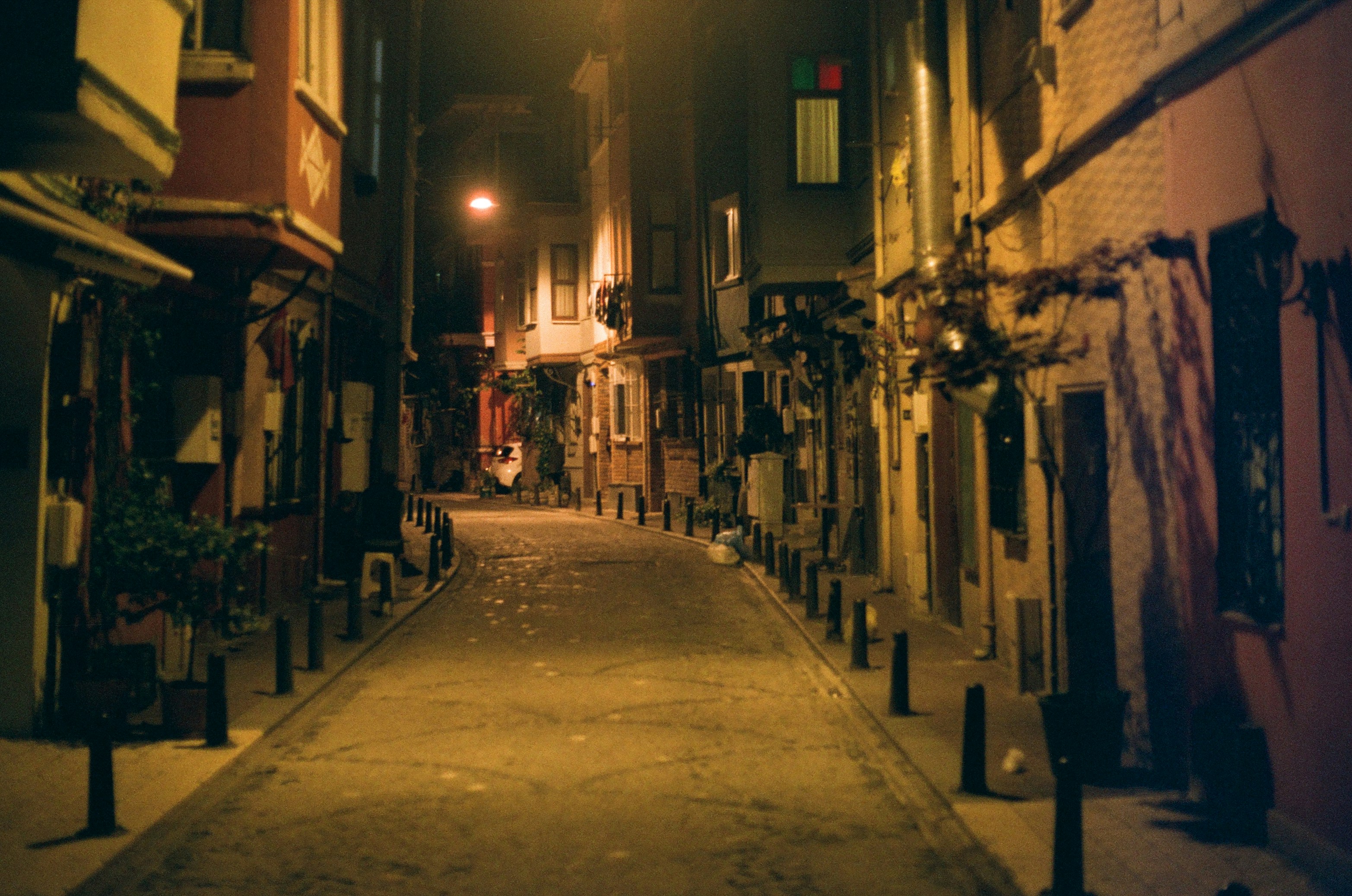 Photo by kateryna_p11111