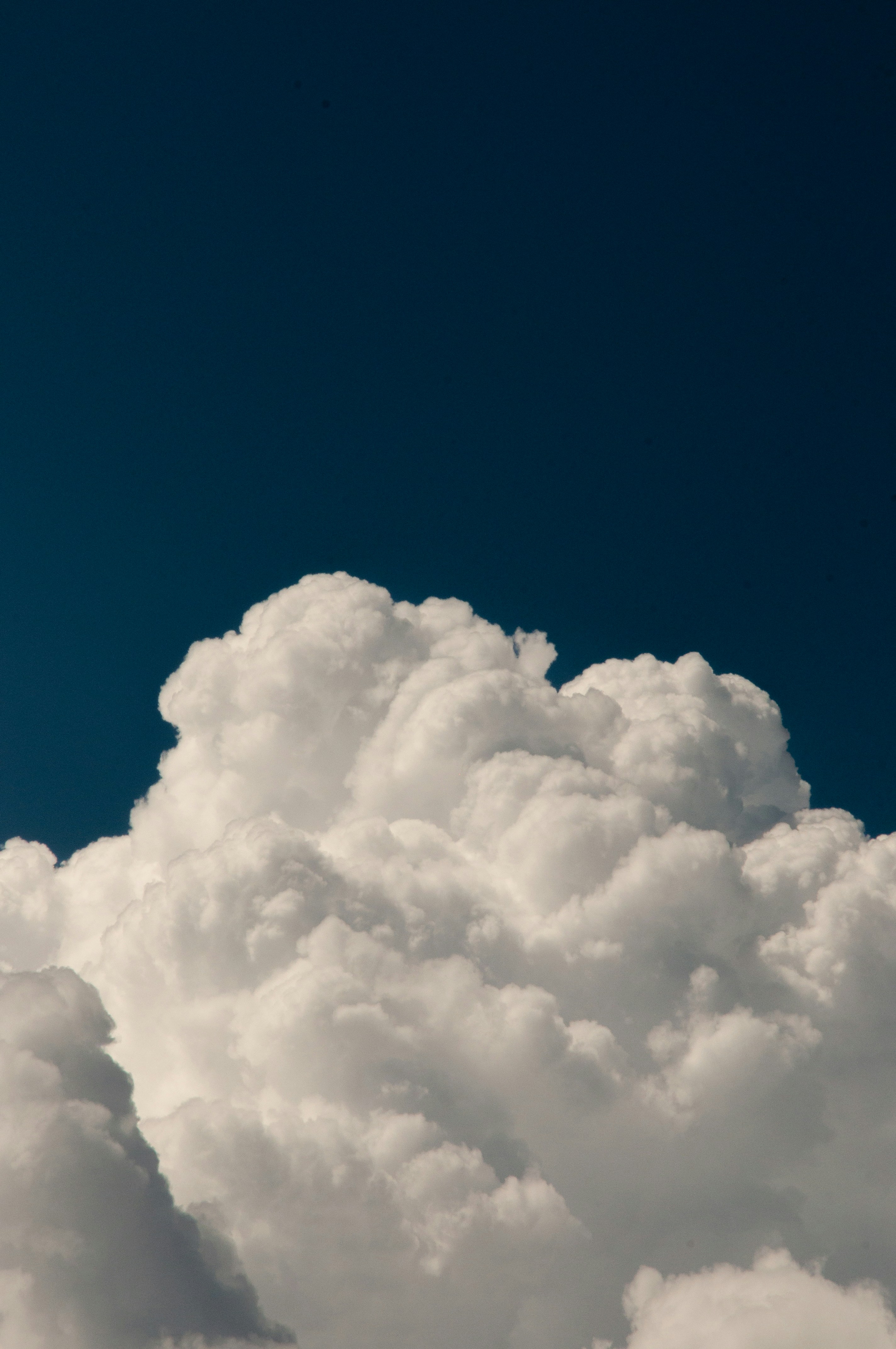 Photo by nilepereiraa