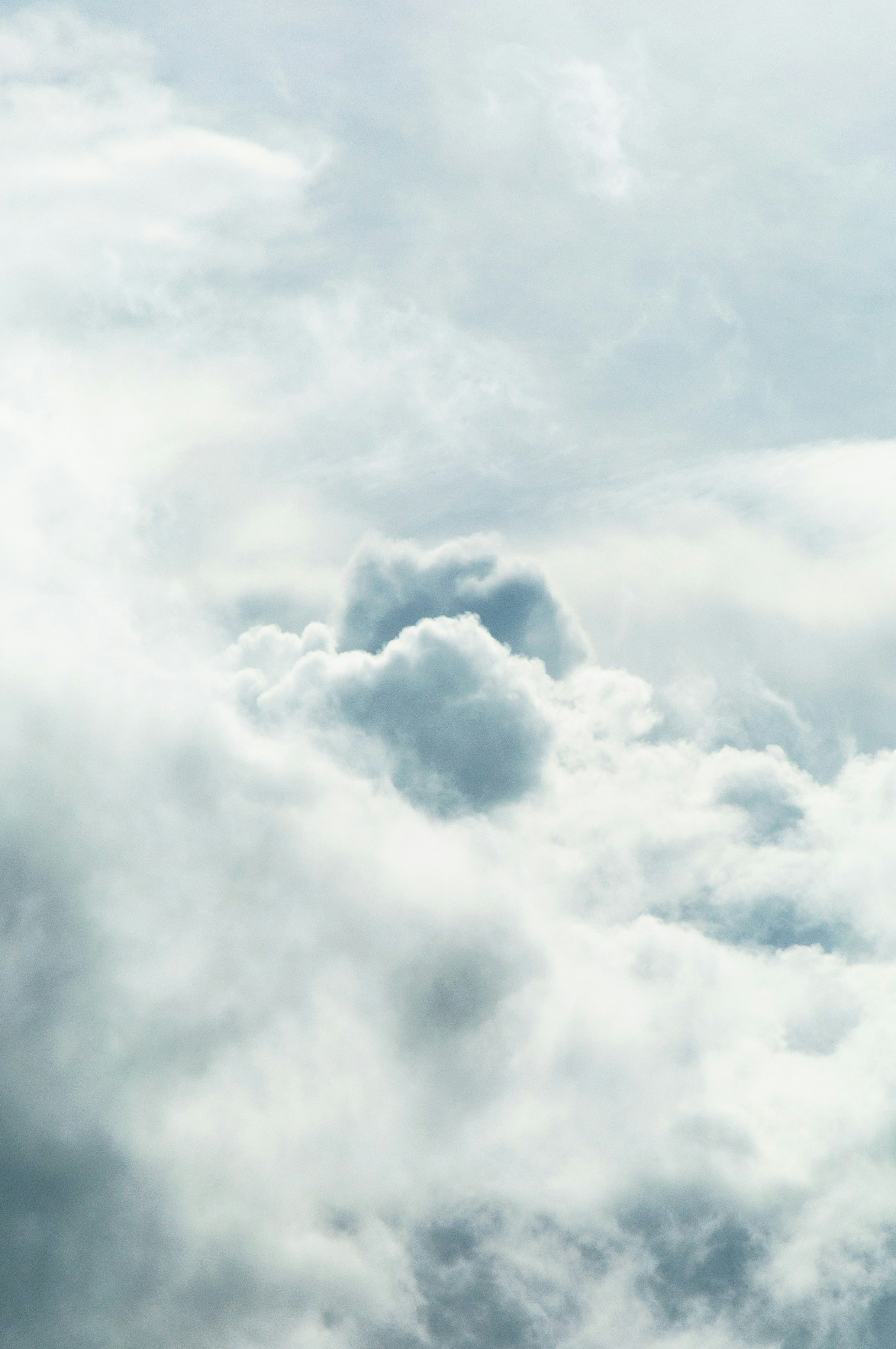 Photo by nilepereiraa