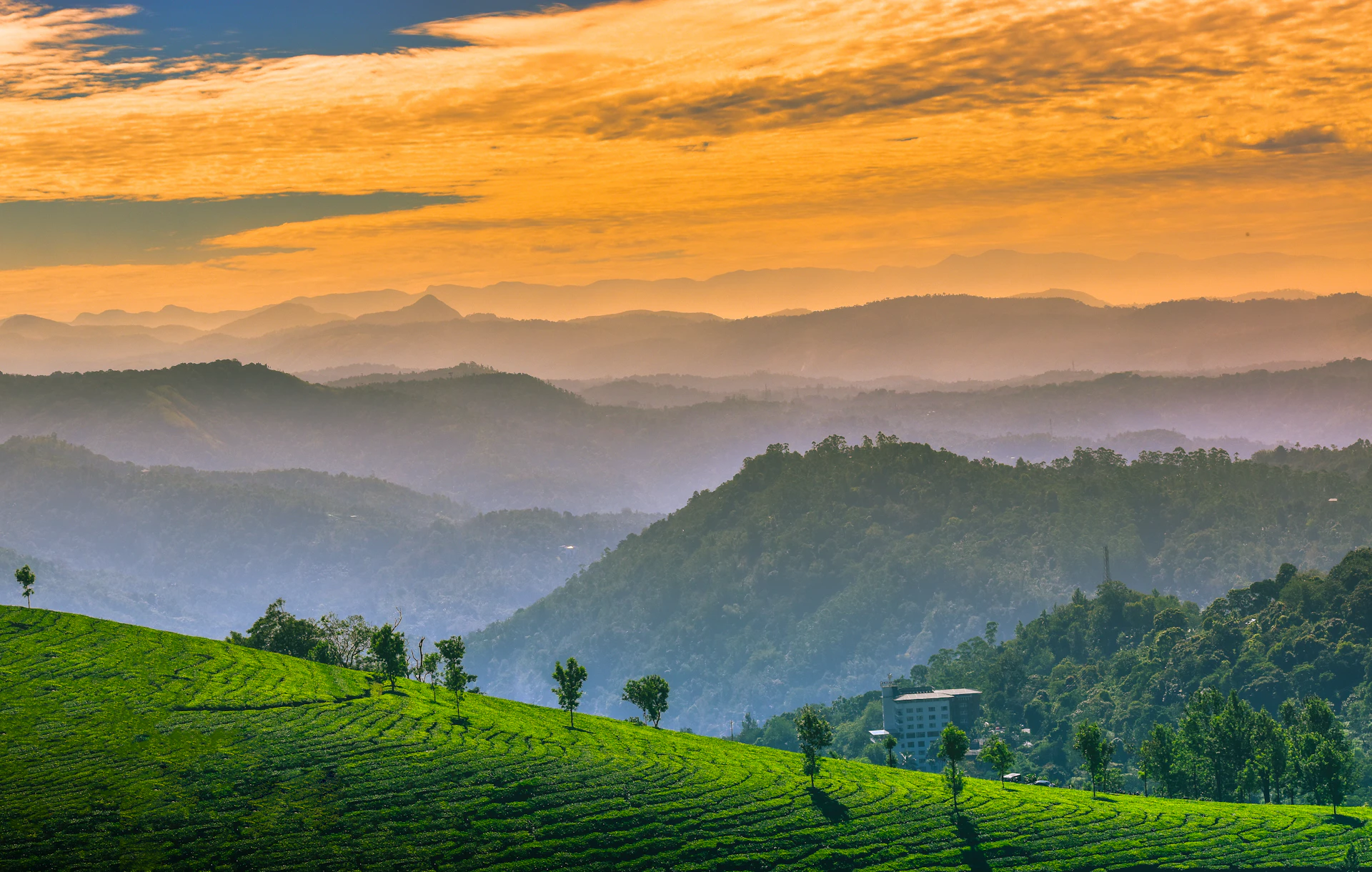 Thekkady wildlife hills