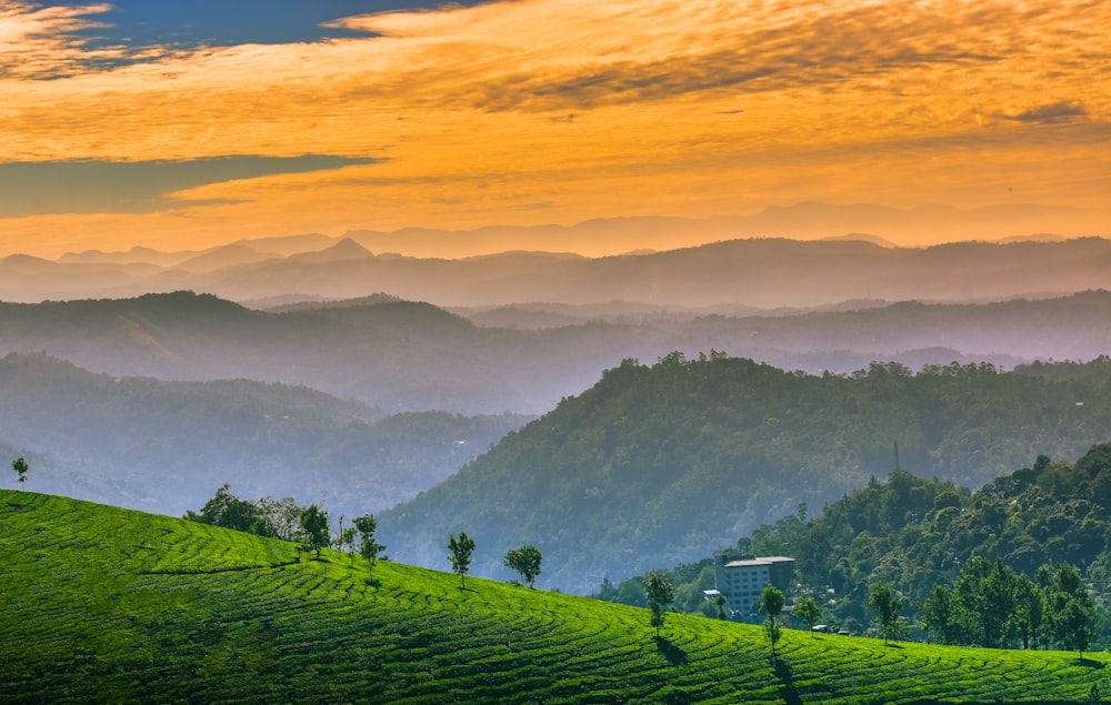 a landscape with hills and trees