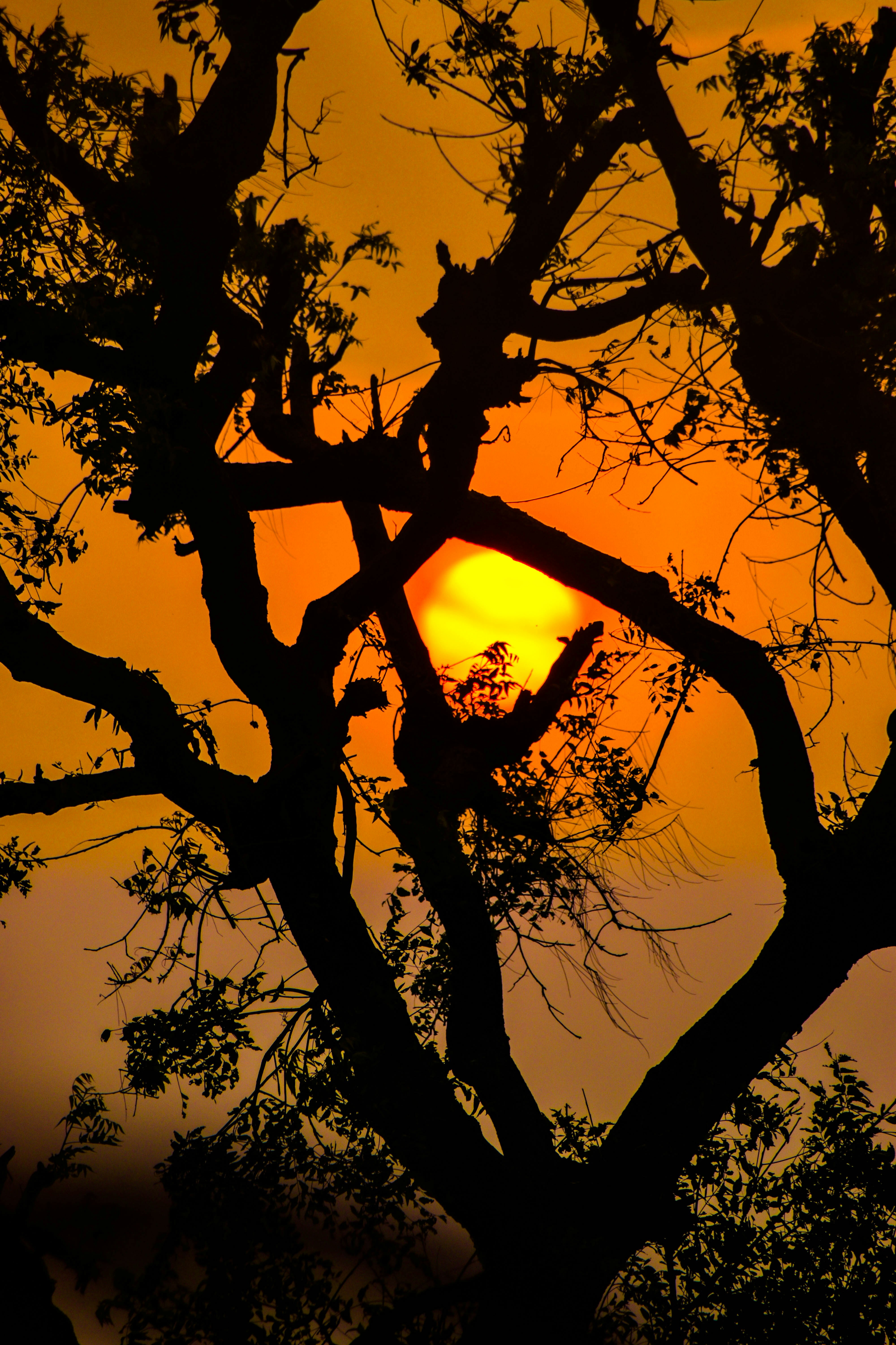 Photo by navi_photography