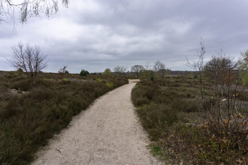 a dirt road in a field