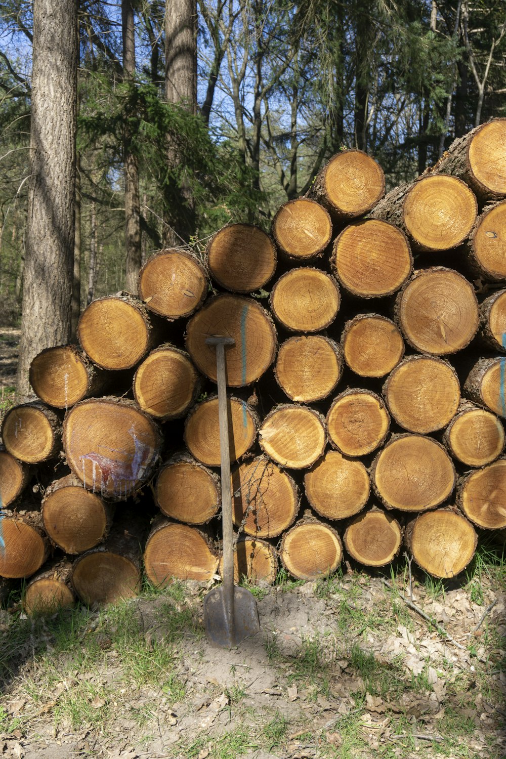 a stack of wood stacked on each other