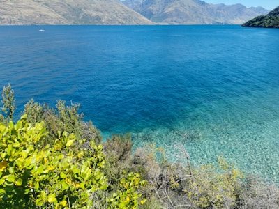 Photo 1650613350920 D4448cdd24cf?q=85&w=400&h=300&fit=crop