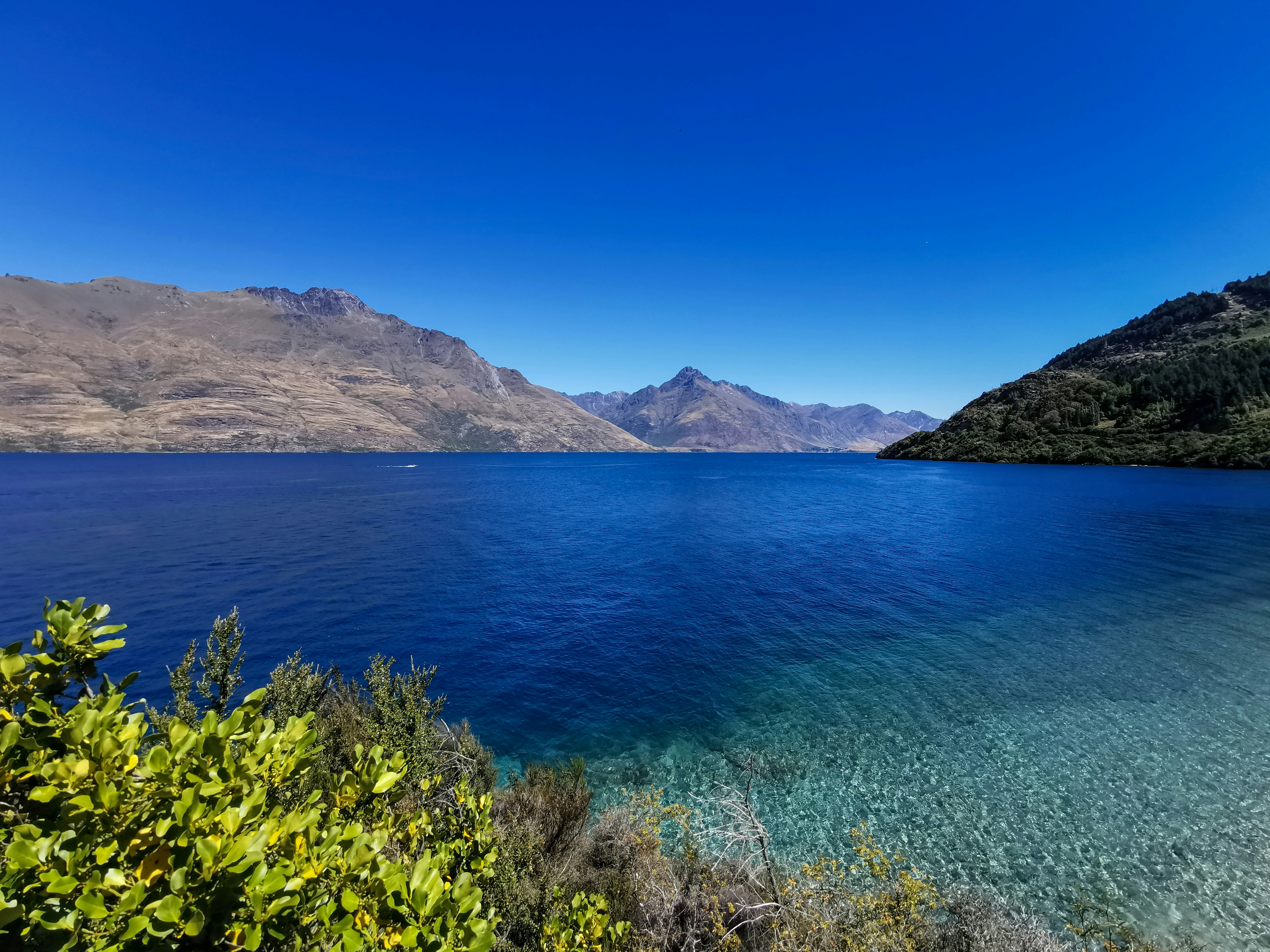 Photo by curiousislander