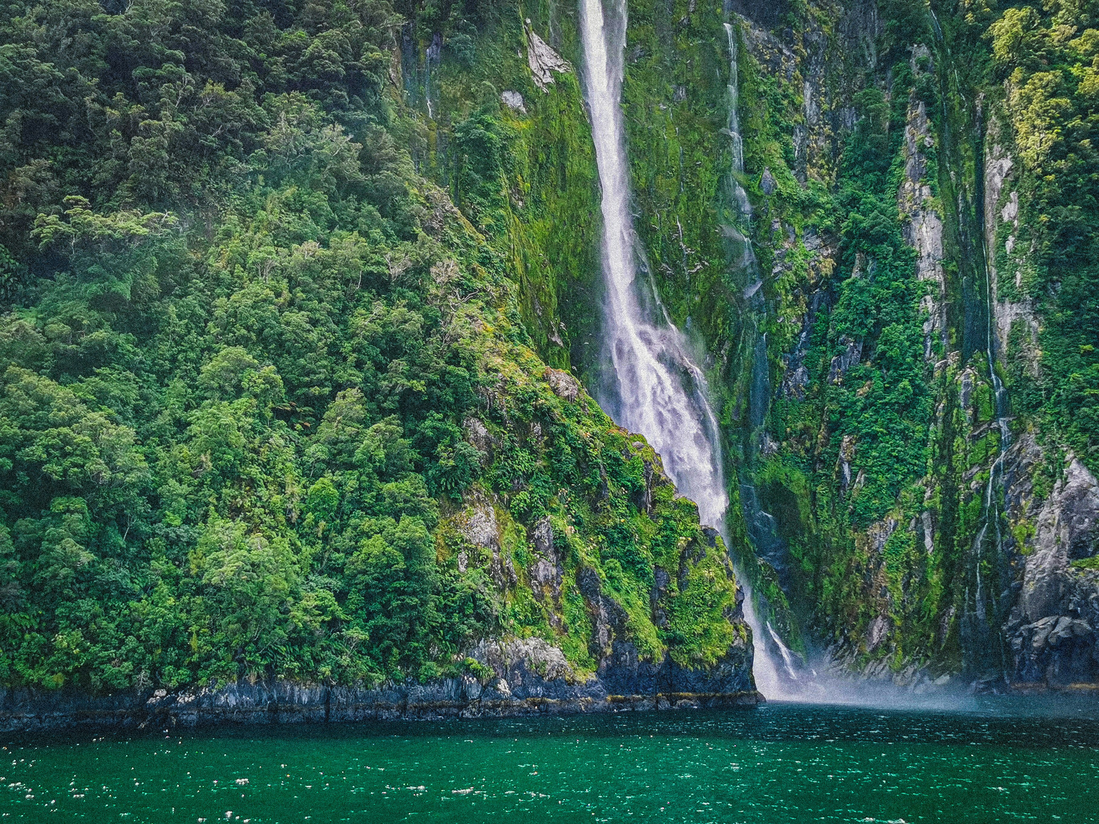 Photo by curiousislander