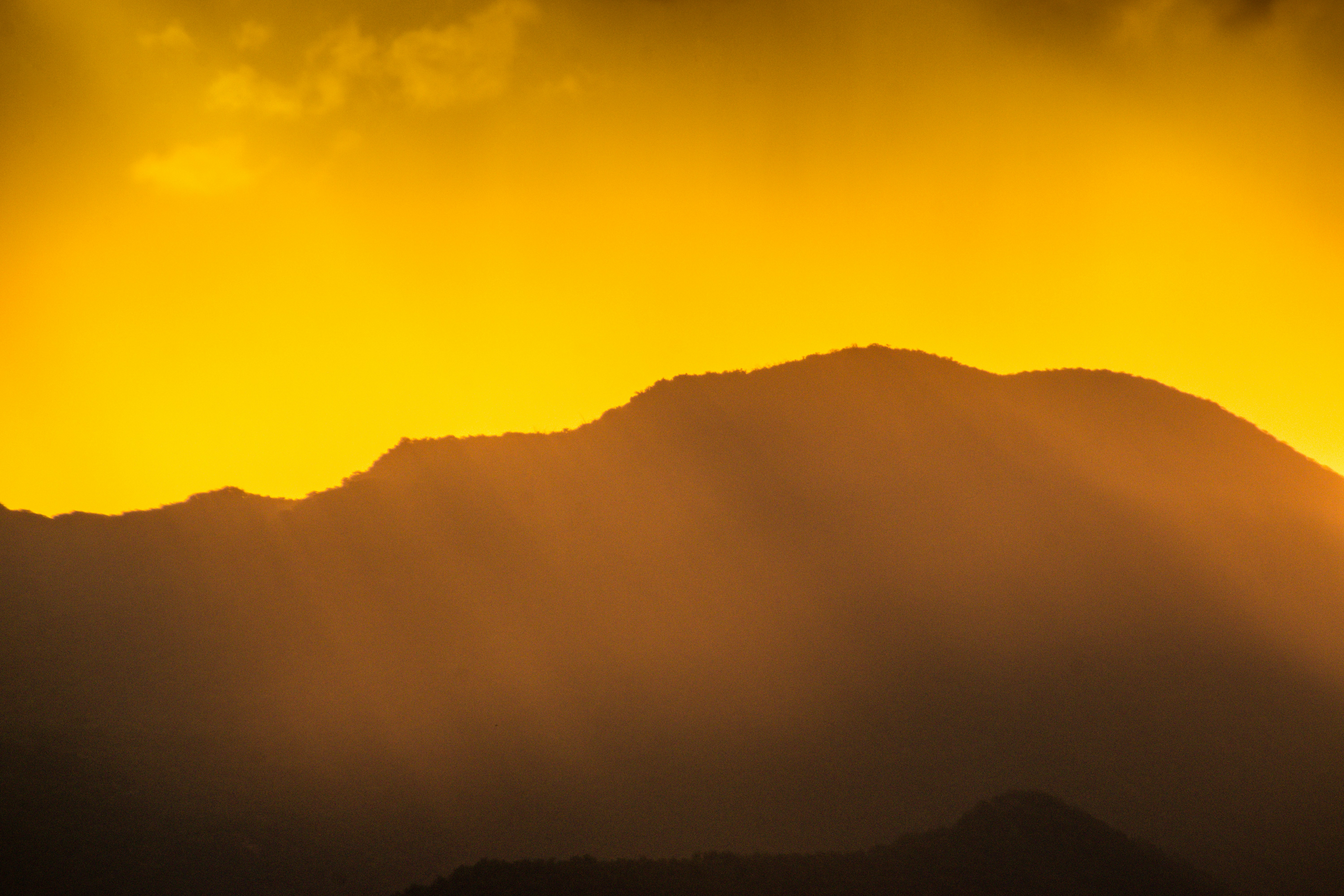 Photo by navi_photography