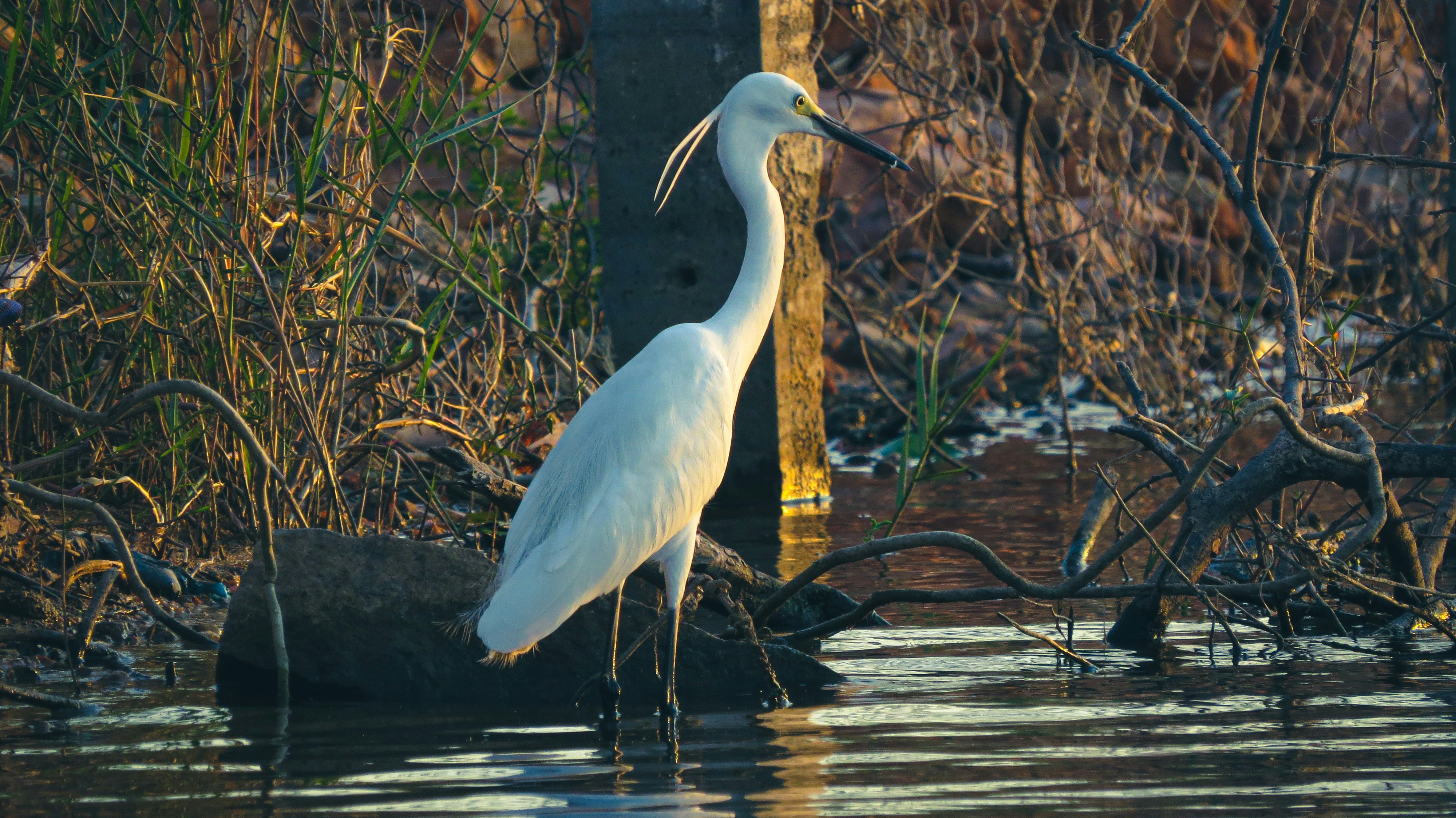 Photo by anandramavath_786