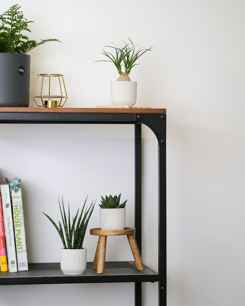a shelf with plants on it