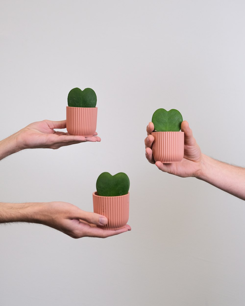 a group of hands holding small containers