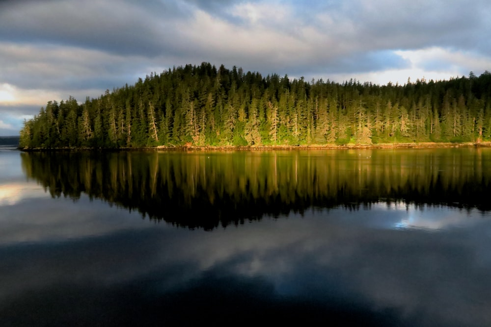 a lake with trees and a hill in the background