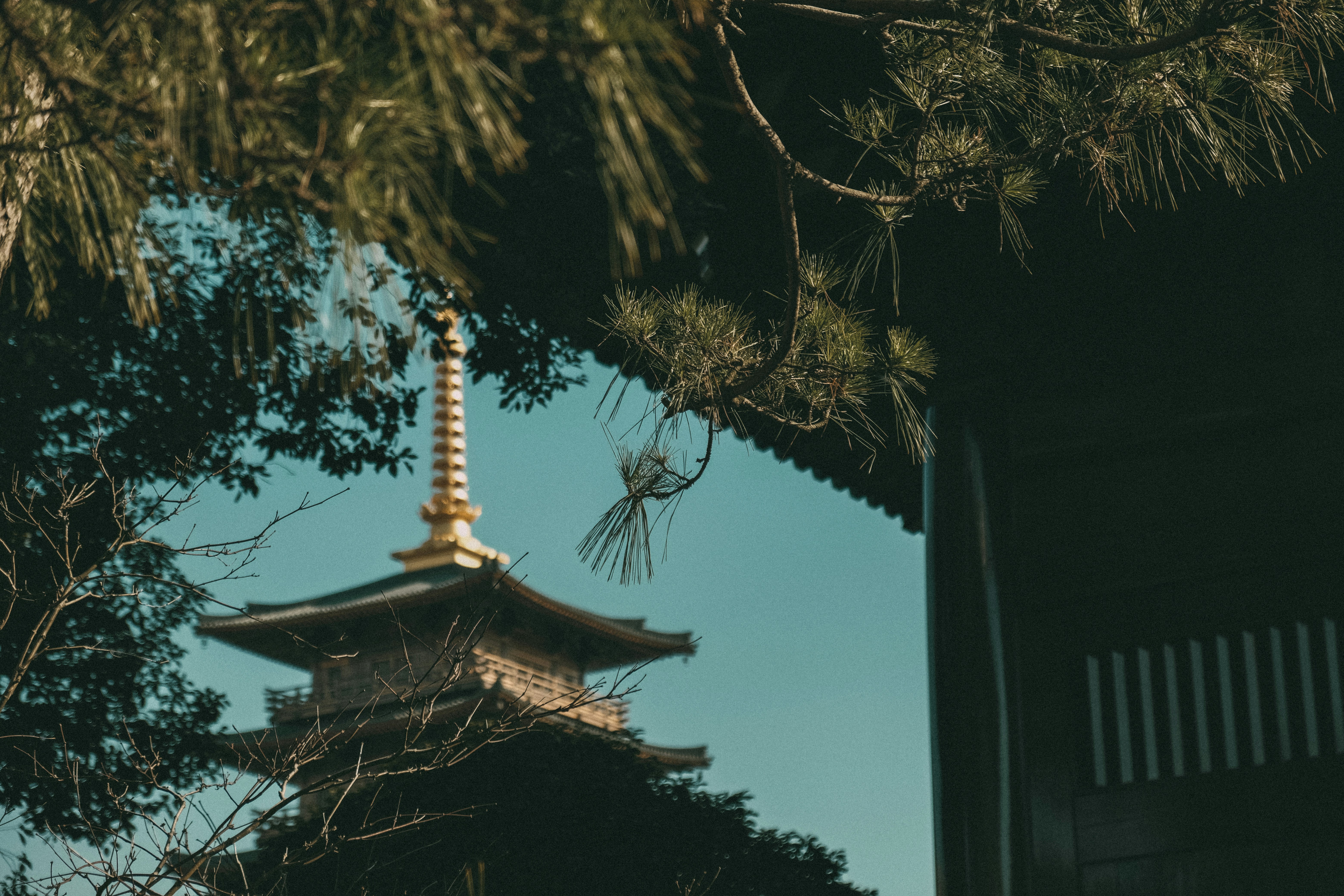 Photo by leonhu123