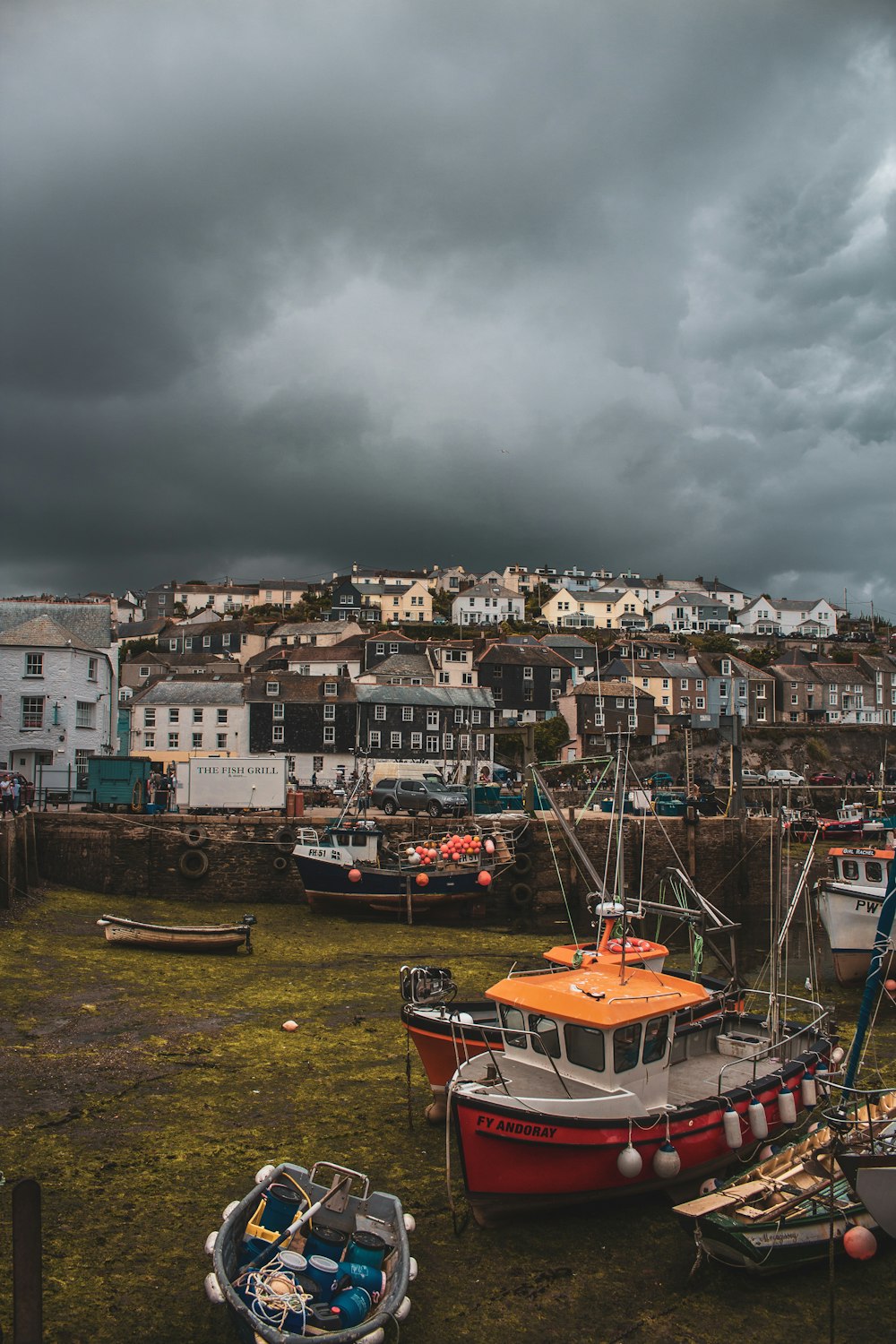 boats in a harbor