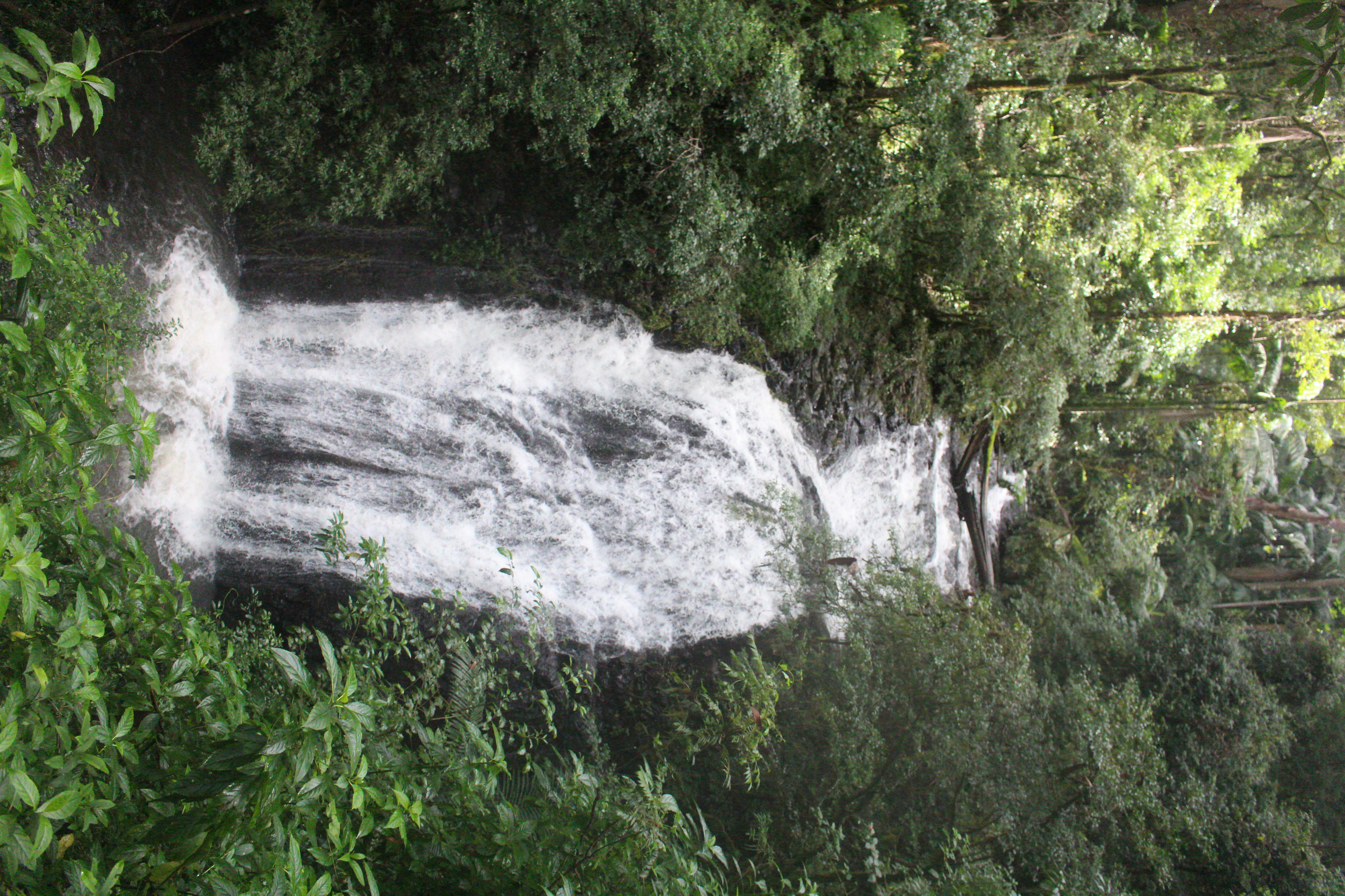 a waterfall in a forest