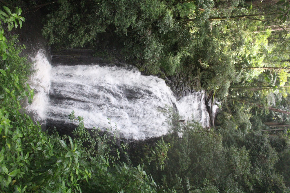 a waterfall in a forest