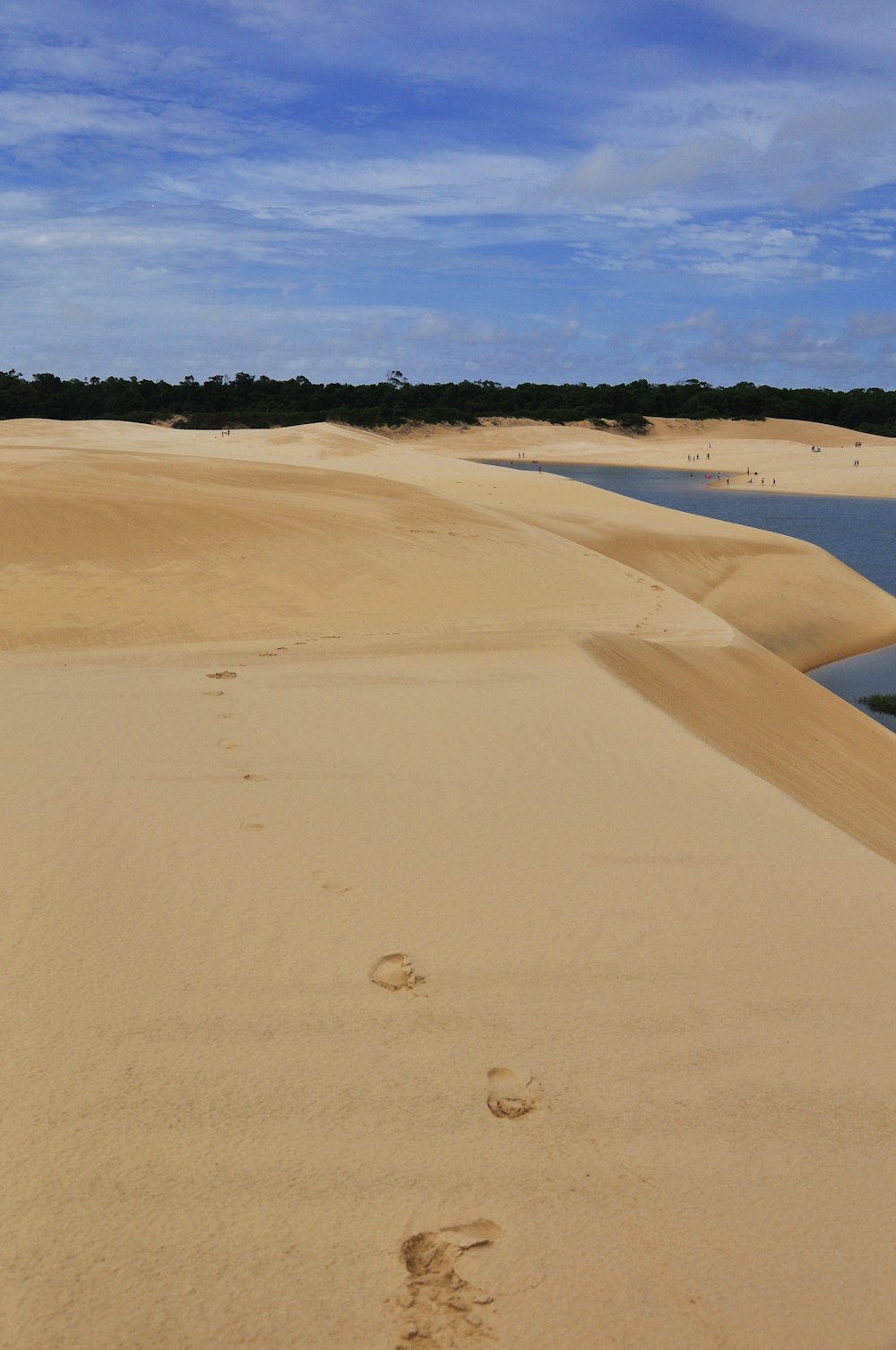 a sandy beach with trees in the background