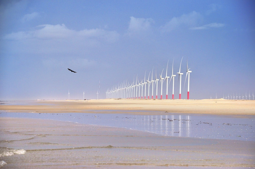 a bird flying over a body of water with windmills in the background