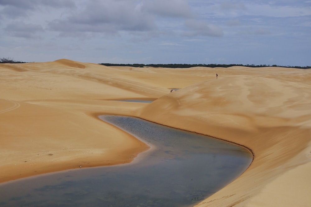 a person walking in a desert