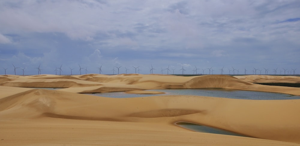 a desert with wind turbines