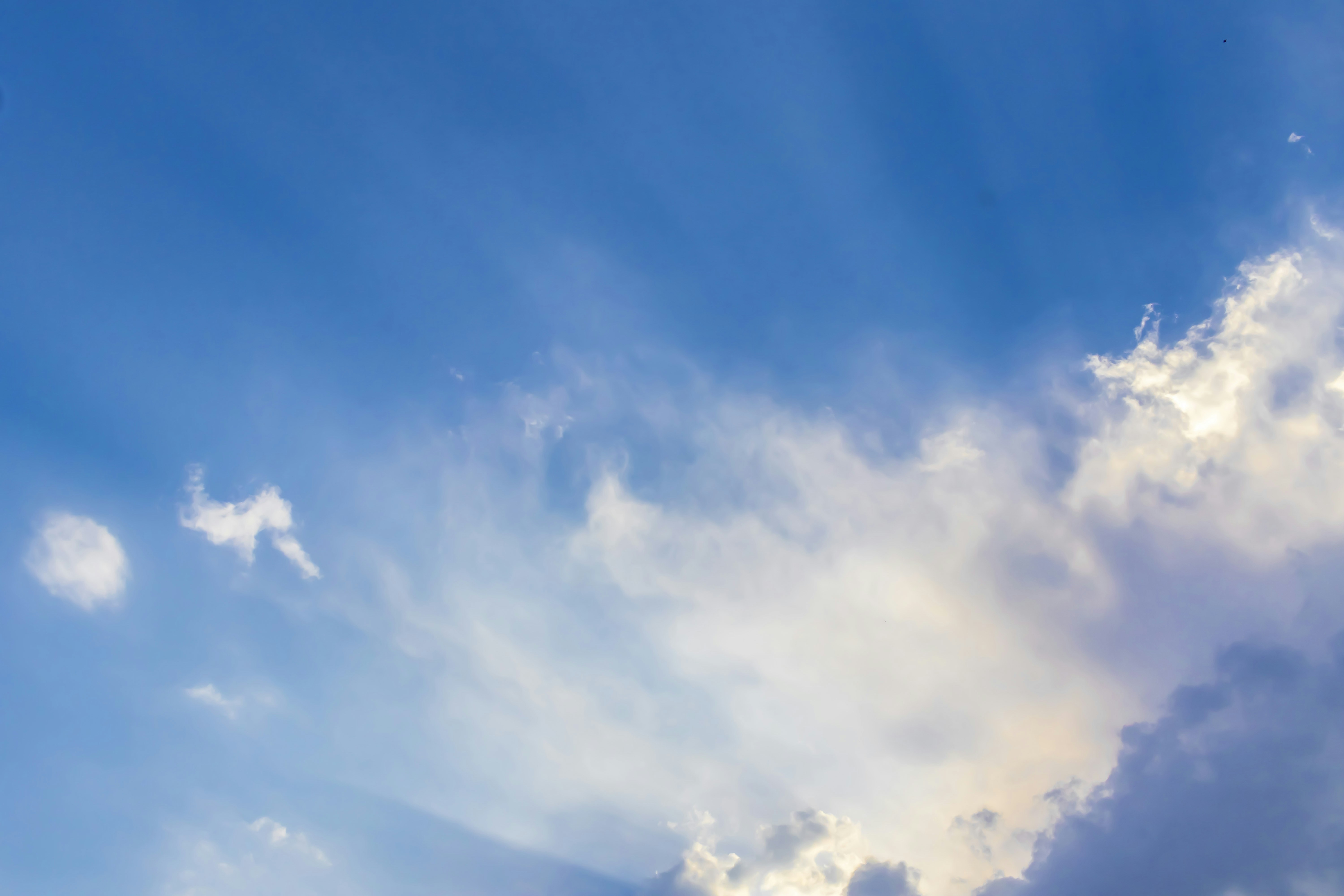 Photo by vdphotography