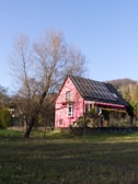 A bright pink house with a gabled roof is situated in an open grassy area. It has solar panels installed on the roof, indicating an eco-friendly design. A tall, leafless tree stands nearby, adding to the rural feel. The background includes a grassy field and a partially visible hill with sparse vegetation, under a clear blue sky.