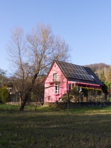 A bright pink house with a gabled roof is situated in an open grassy area. It has solar panels installed on the roof, indicating an eco-friendly design. A tall, leafless tree stands nearby, adding to the rural feel. The background includes a grassy field and a partially visible hill with sparse vegetation, under a clear blue sky.