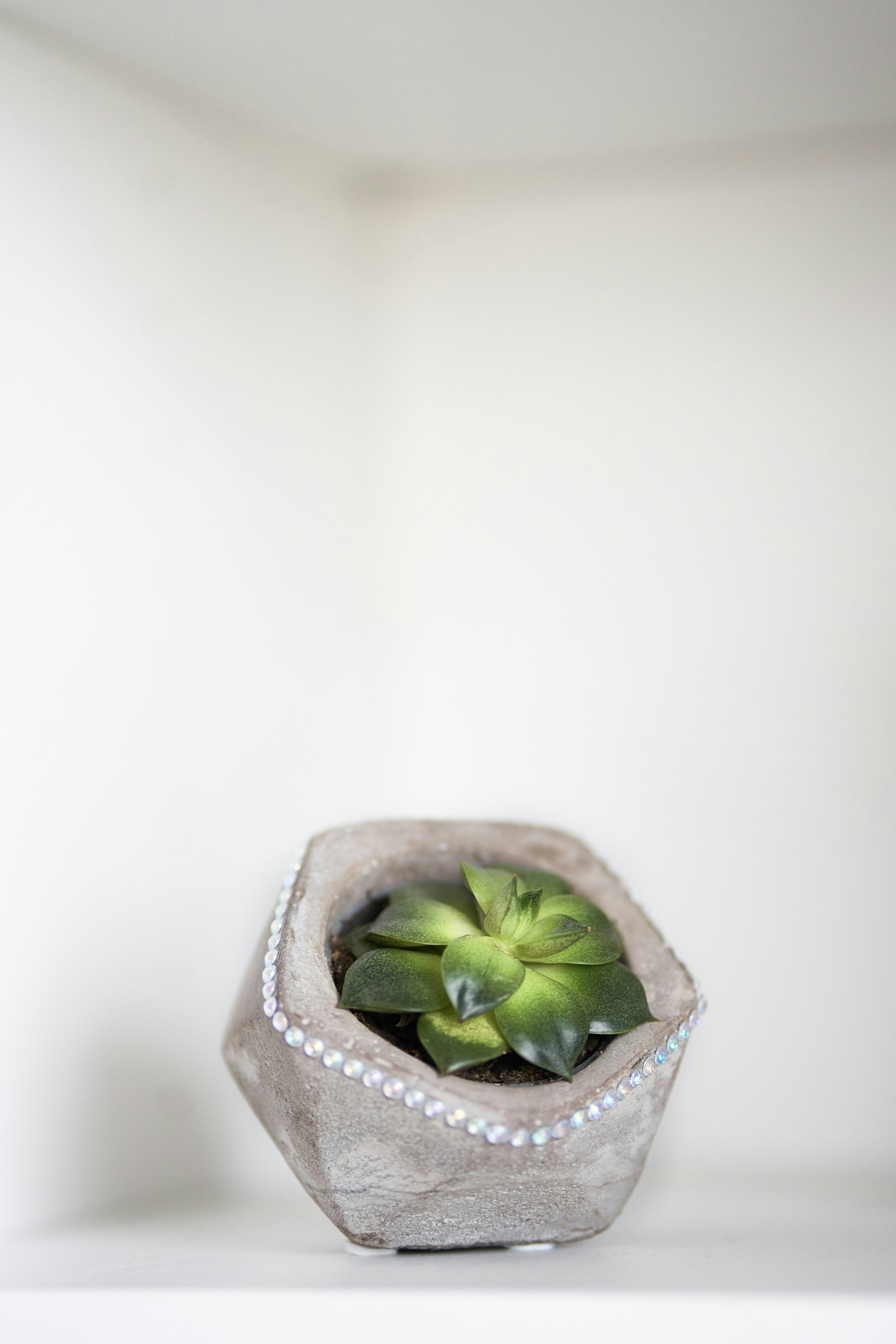 A close up of a person trimming a plant
