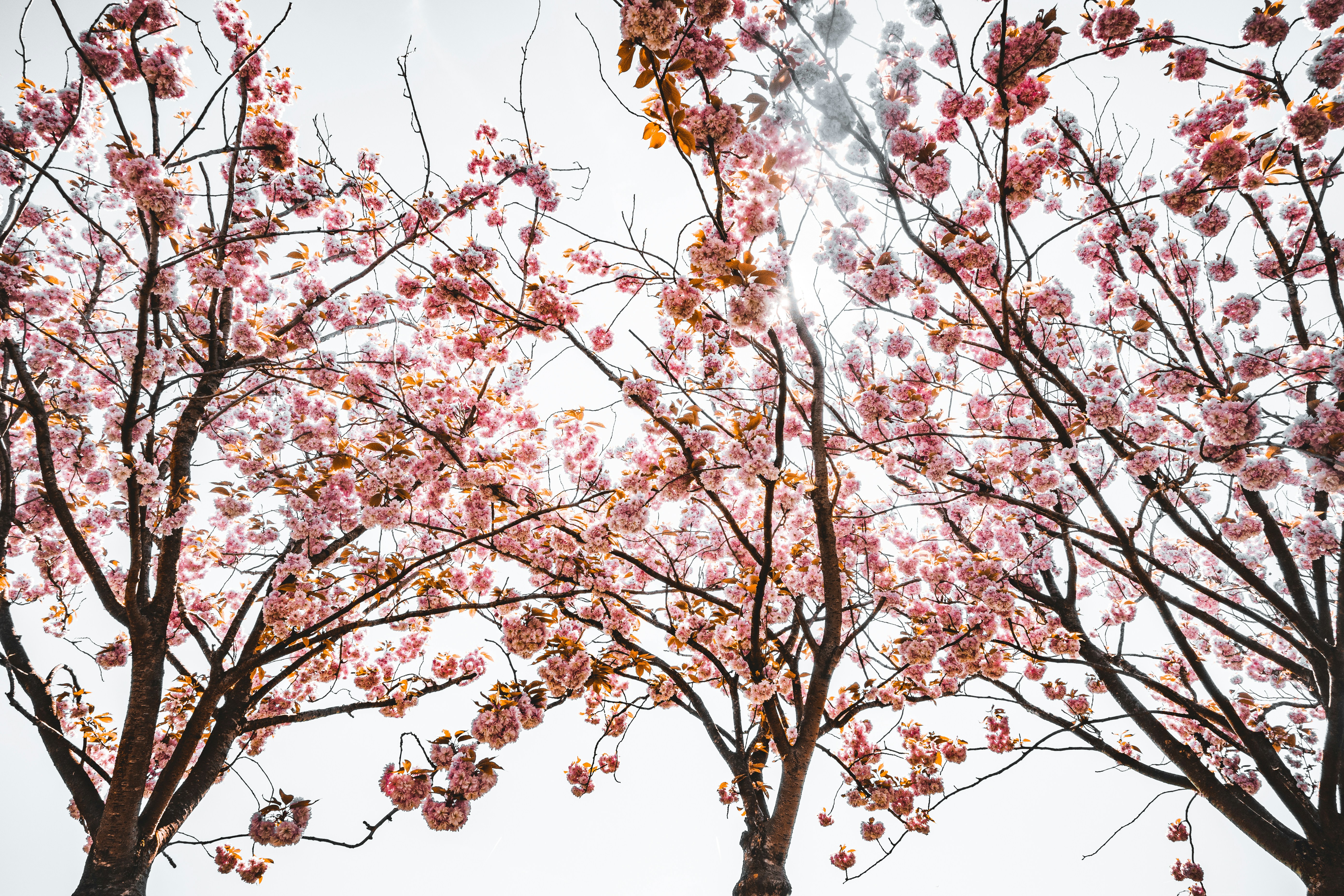 Photo by sylwiabartyzel