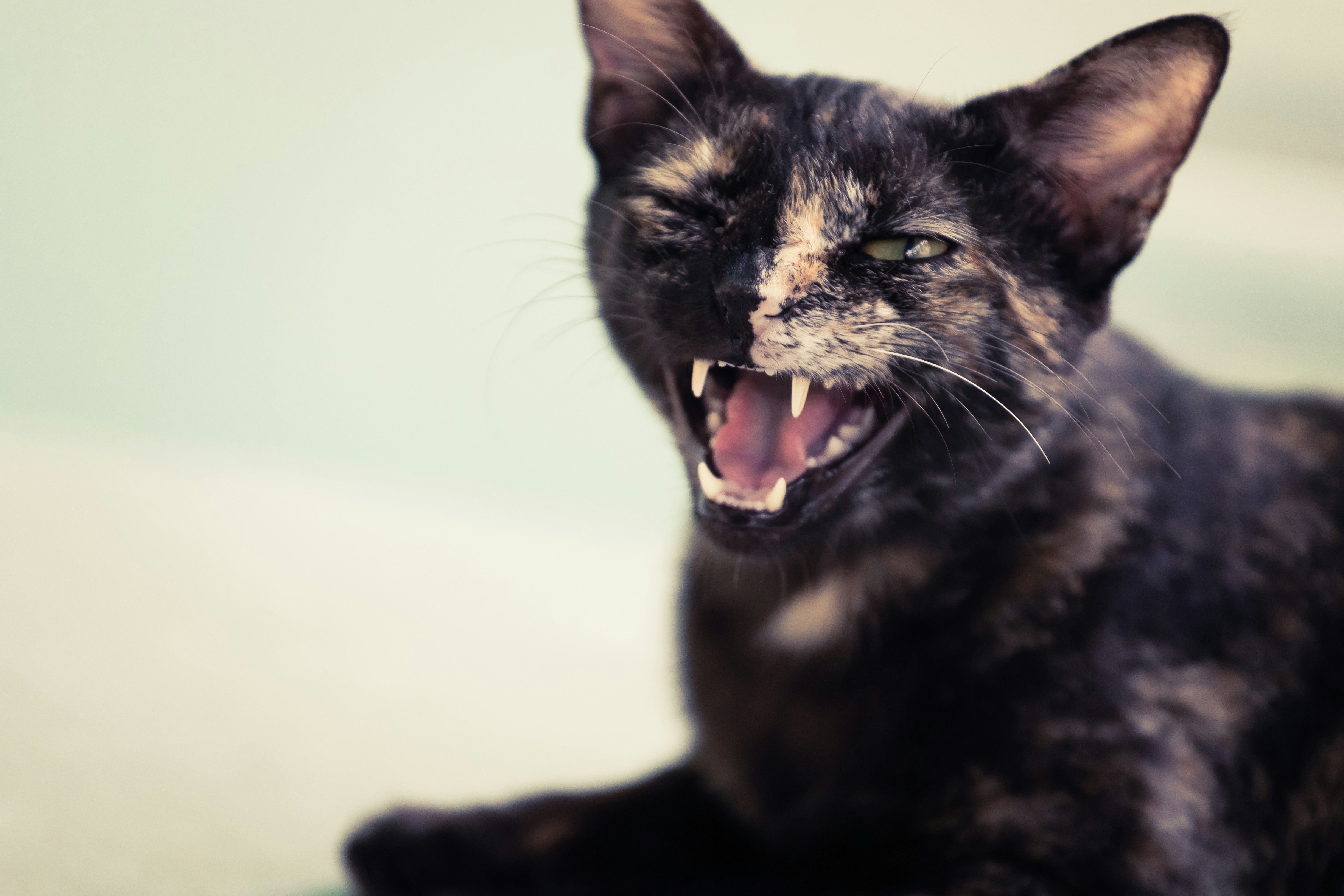 Photo by wildandbeyondbyvivek