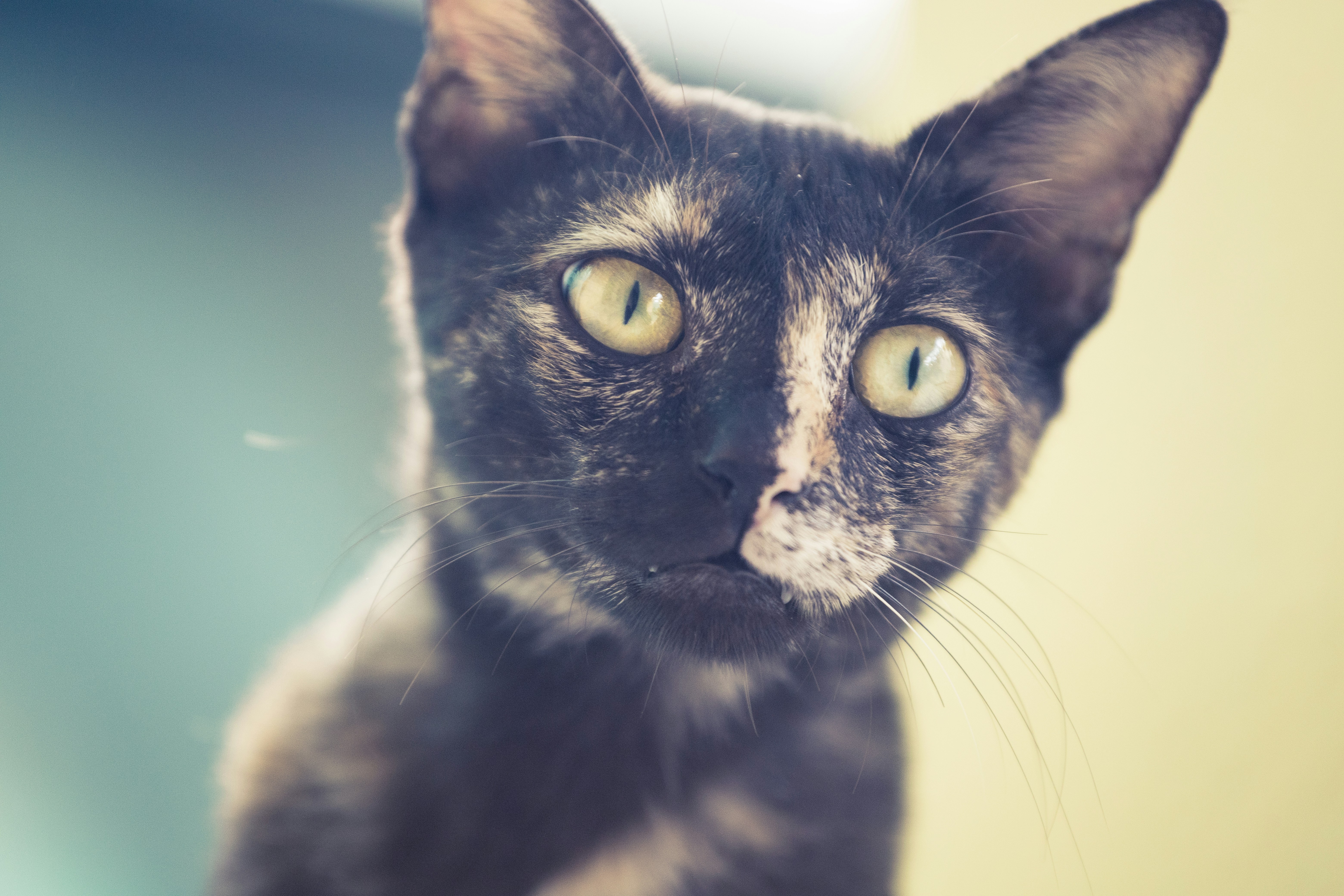 Photo by wildandbeyondbyvivek