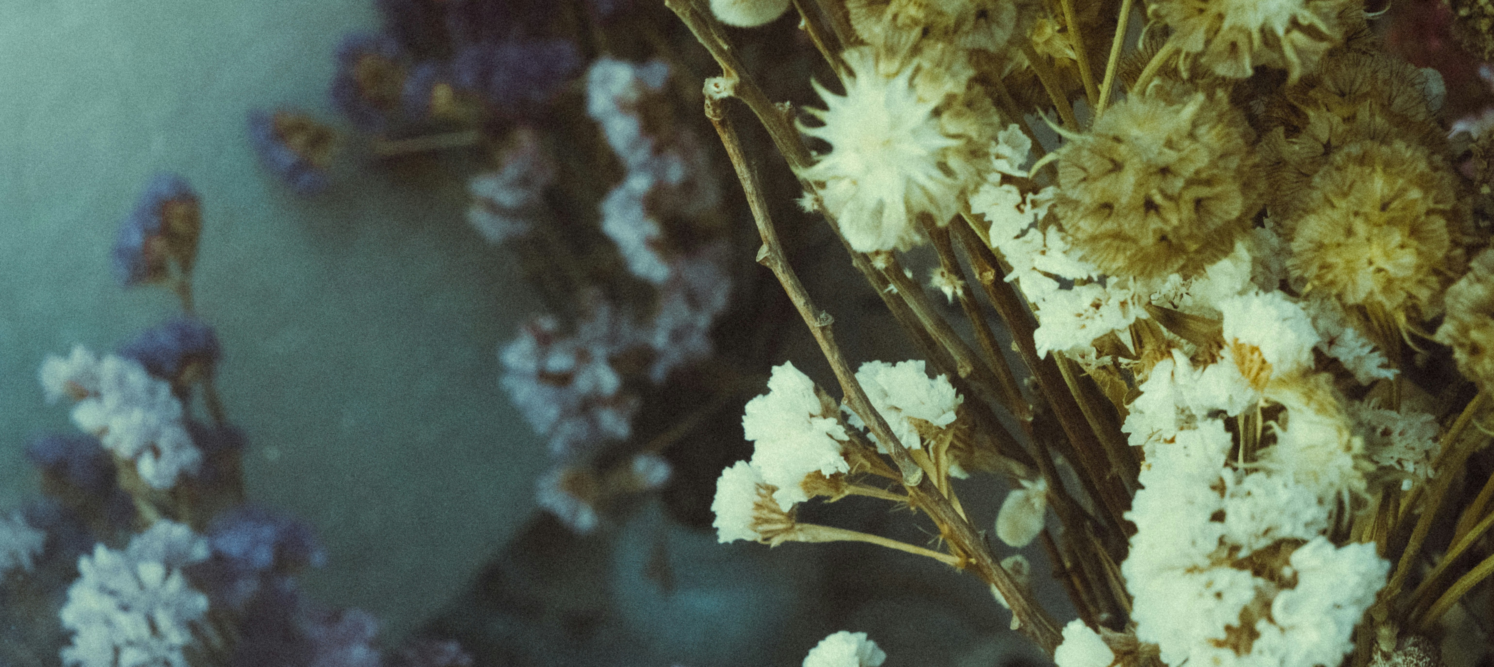 Photo by matreding