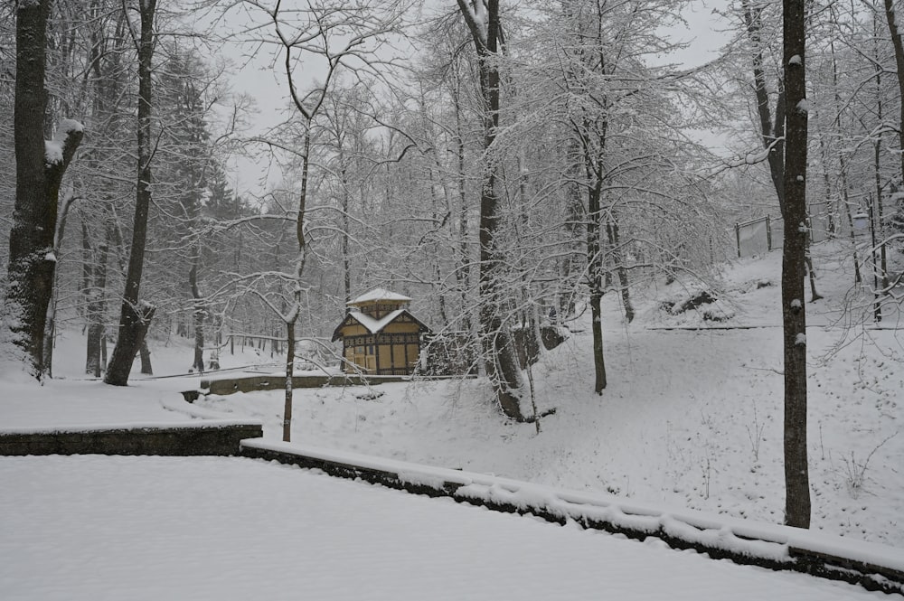 a small building in a snowy forest