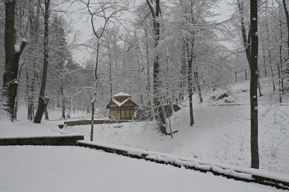 Un pequeño edificio en un bosque nevado