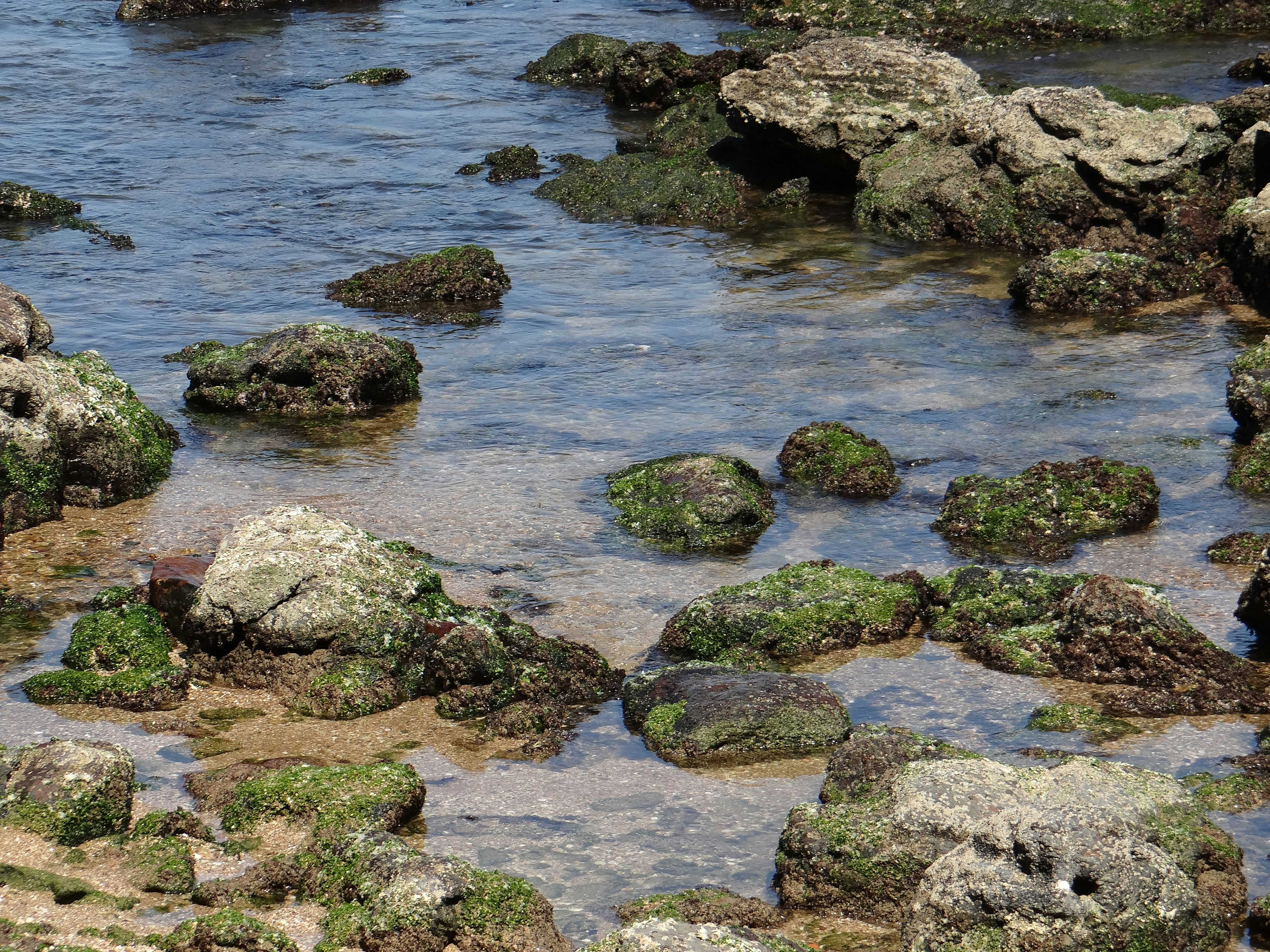 Photo by macornelsen