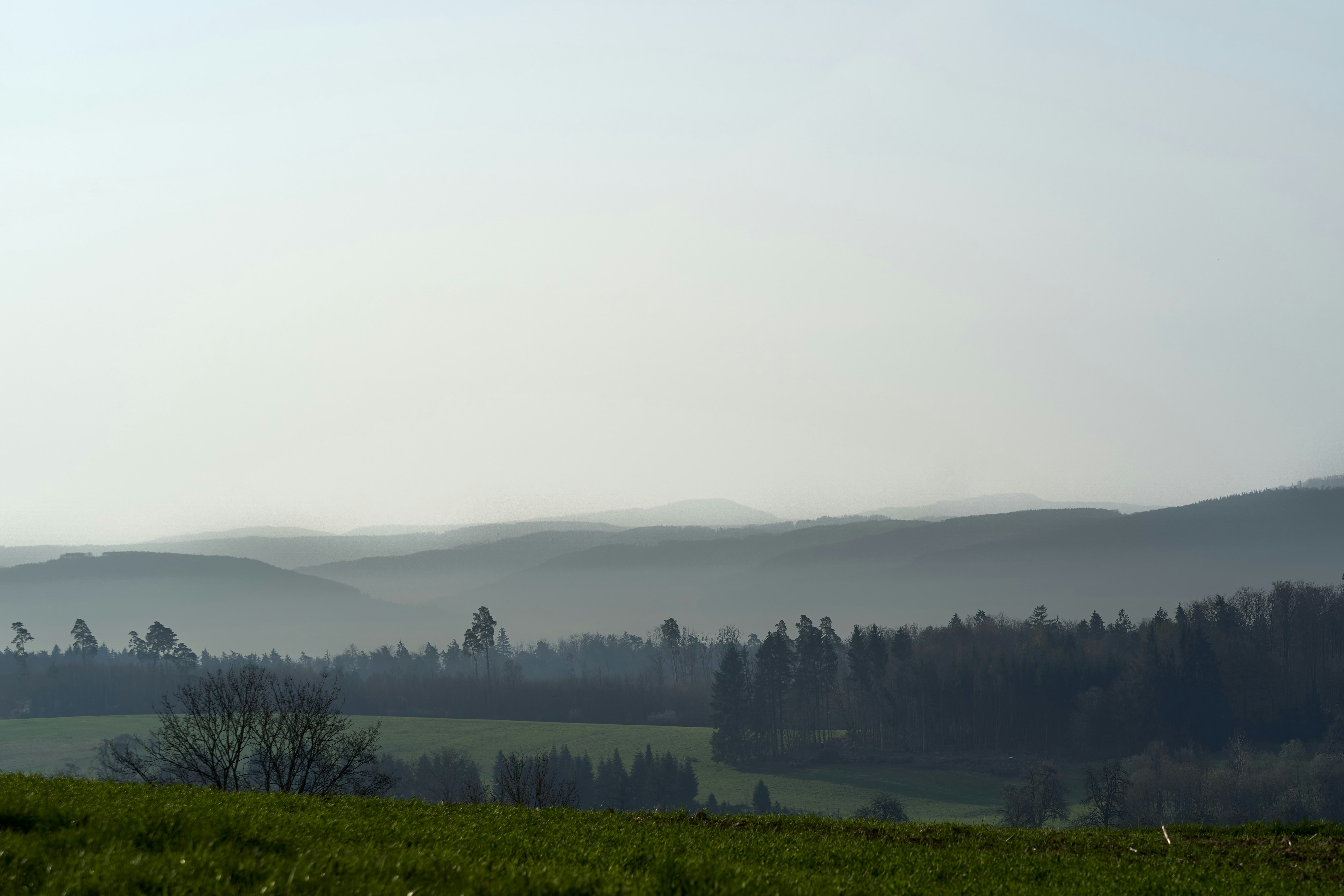 Lush tea plantations in the Cameron Highlands with misty mountains in the background