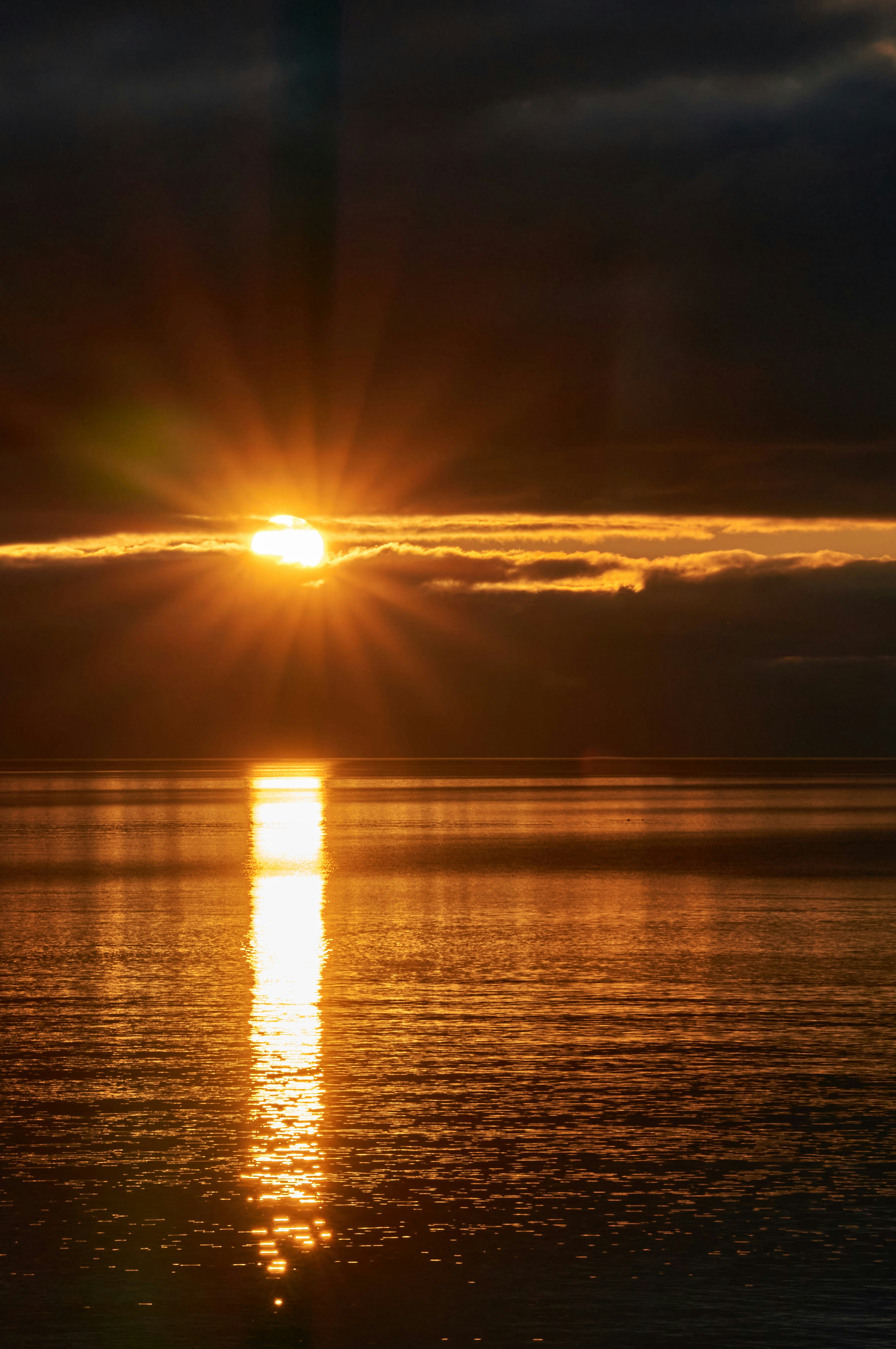 Photo by wolfgang_hasselmann