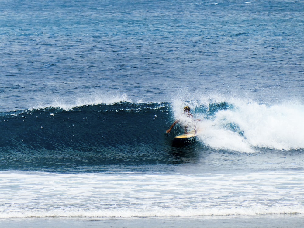 a surfer riding a wave