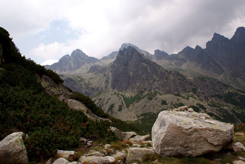 a rocky valley between mountains