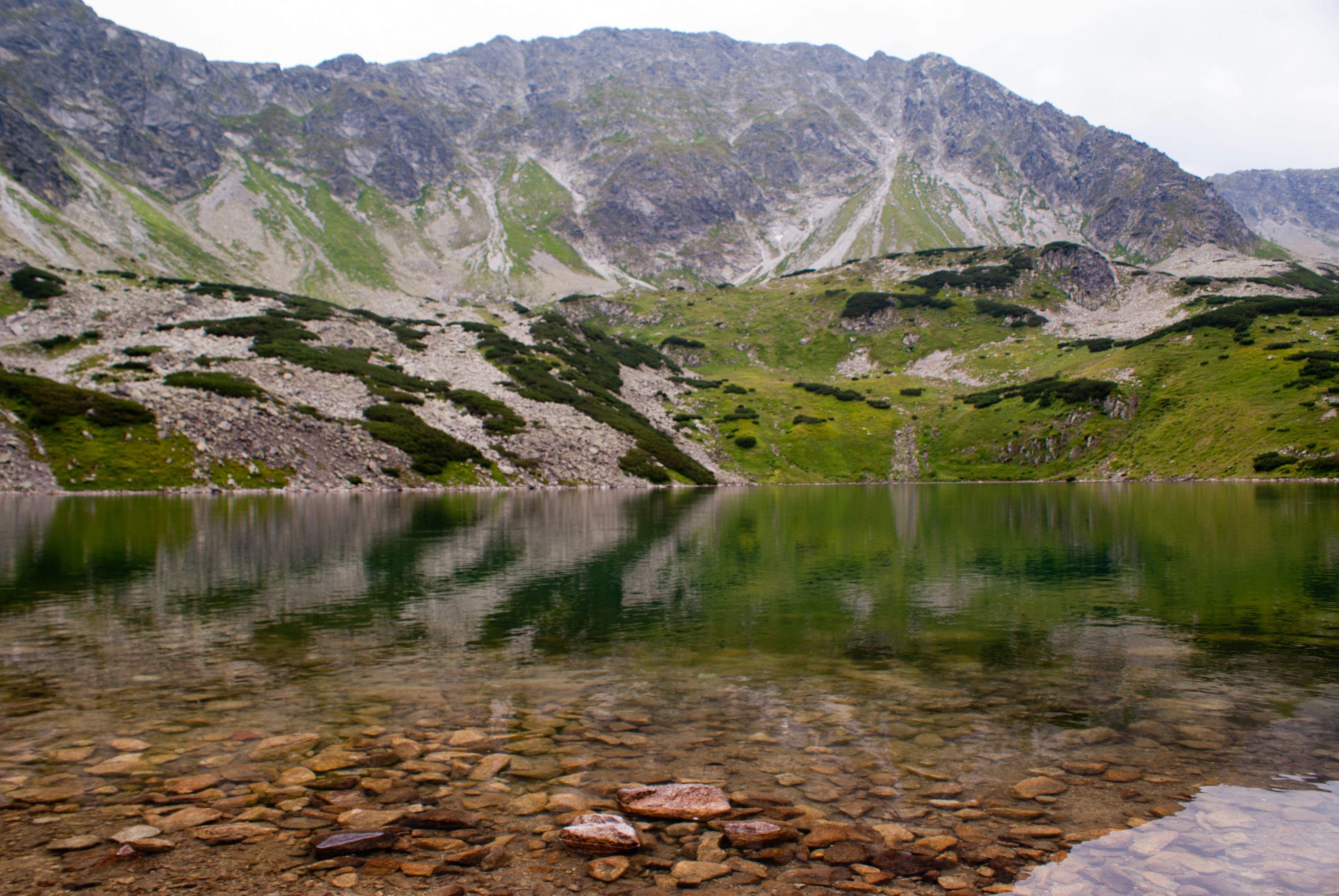 Photo by piotrfotodigital