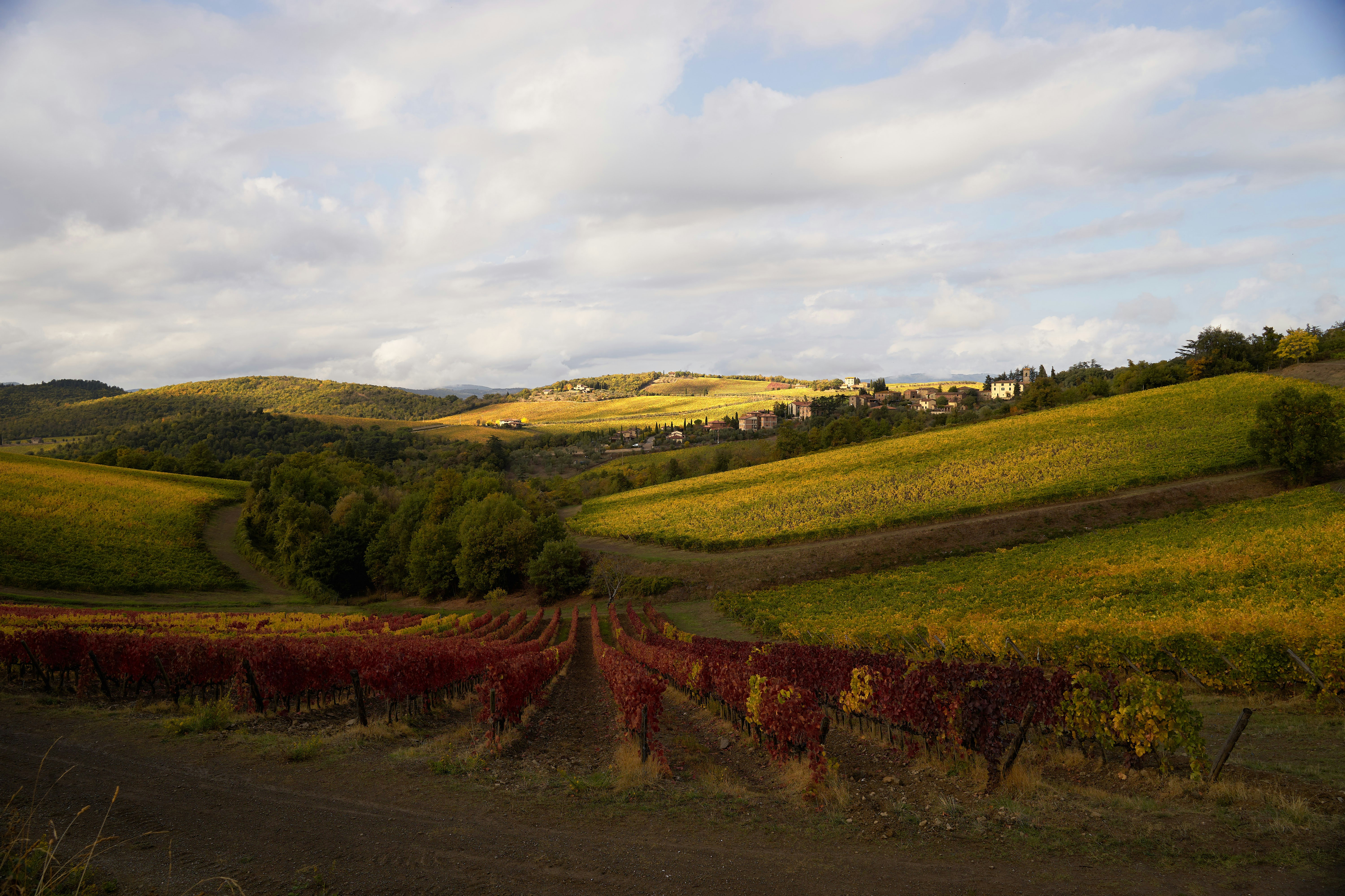 Photo by wolfgang_hasselmann