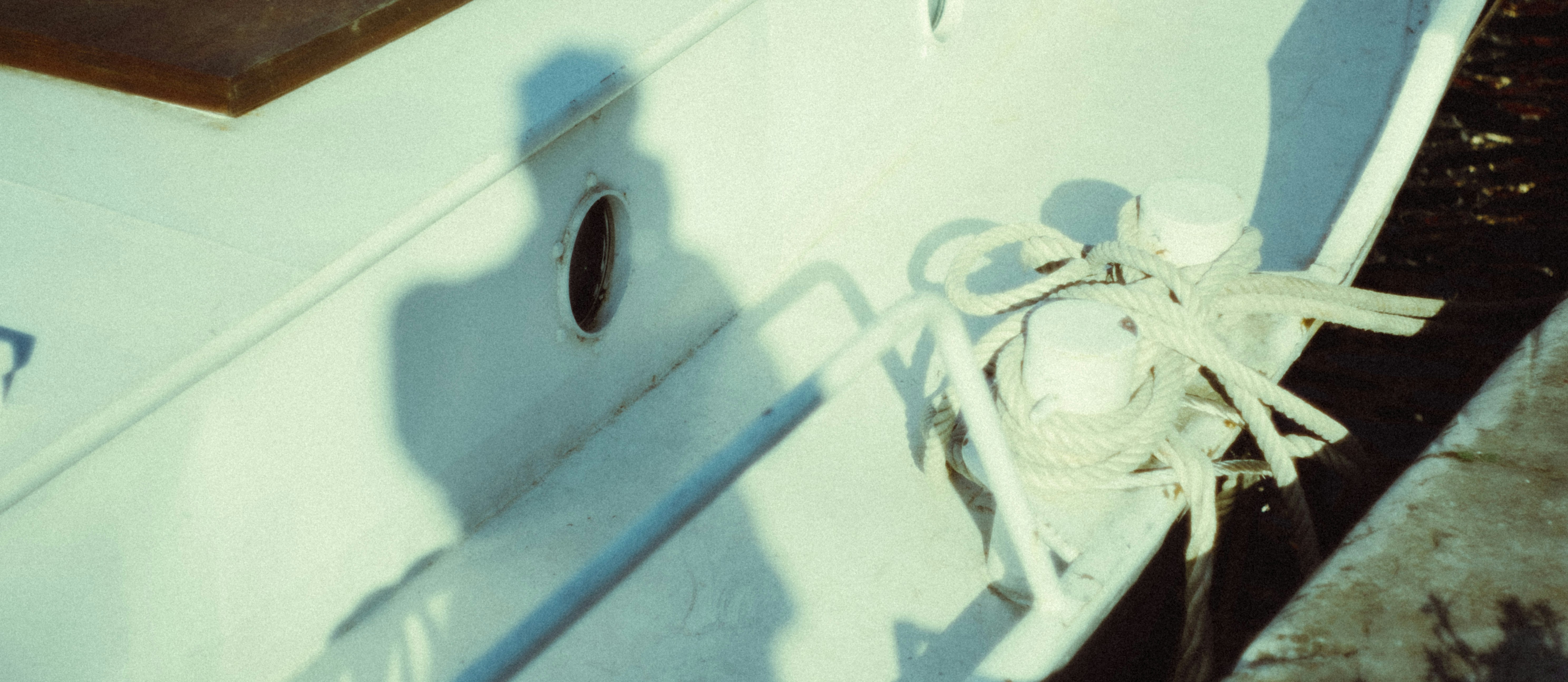 Professional sculpture