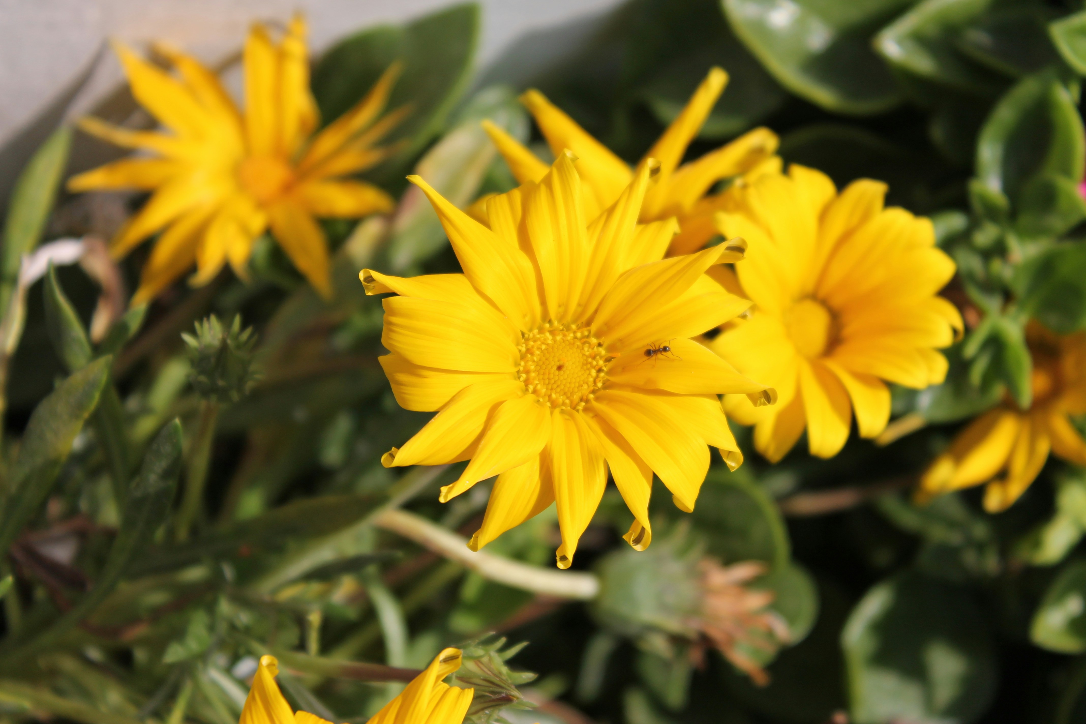 Photo by elmountassir1