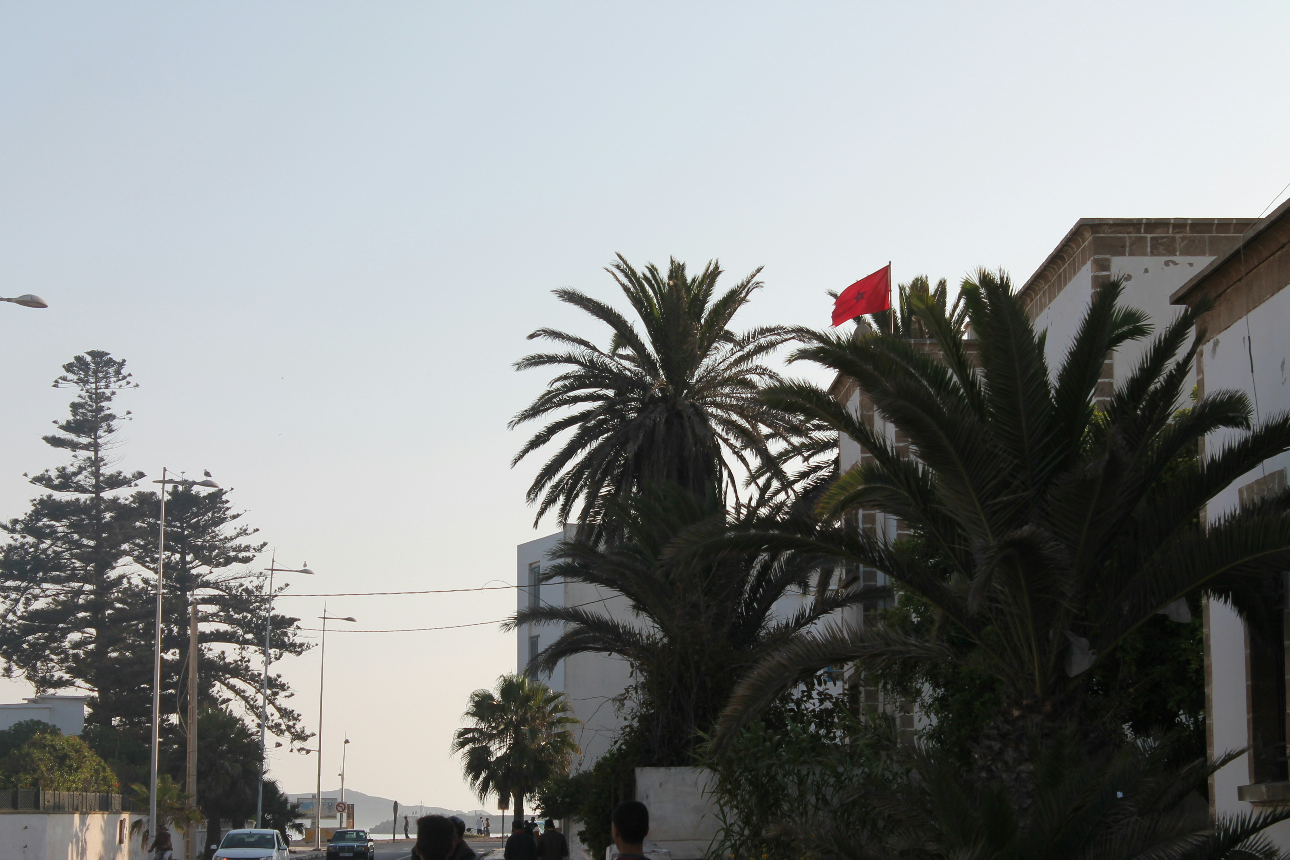 Adana’da Sağlık İçin Hareket Etkinliğiyle Farkındalık Oluşturuldu - Sağlık haberi görseli