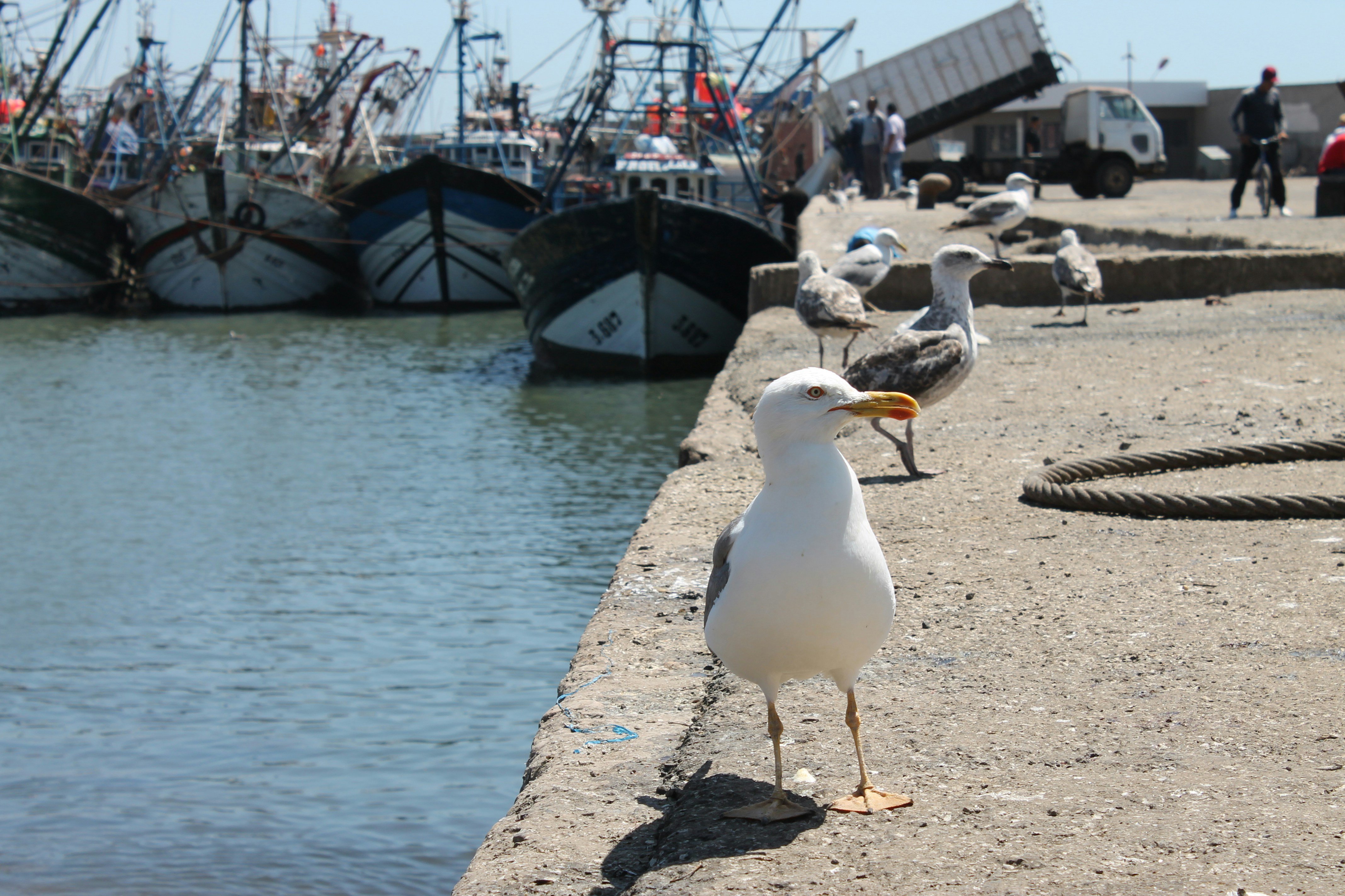 Photo by elmountassir1