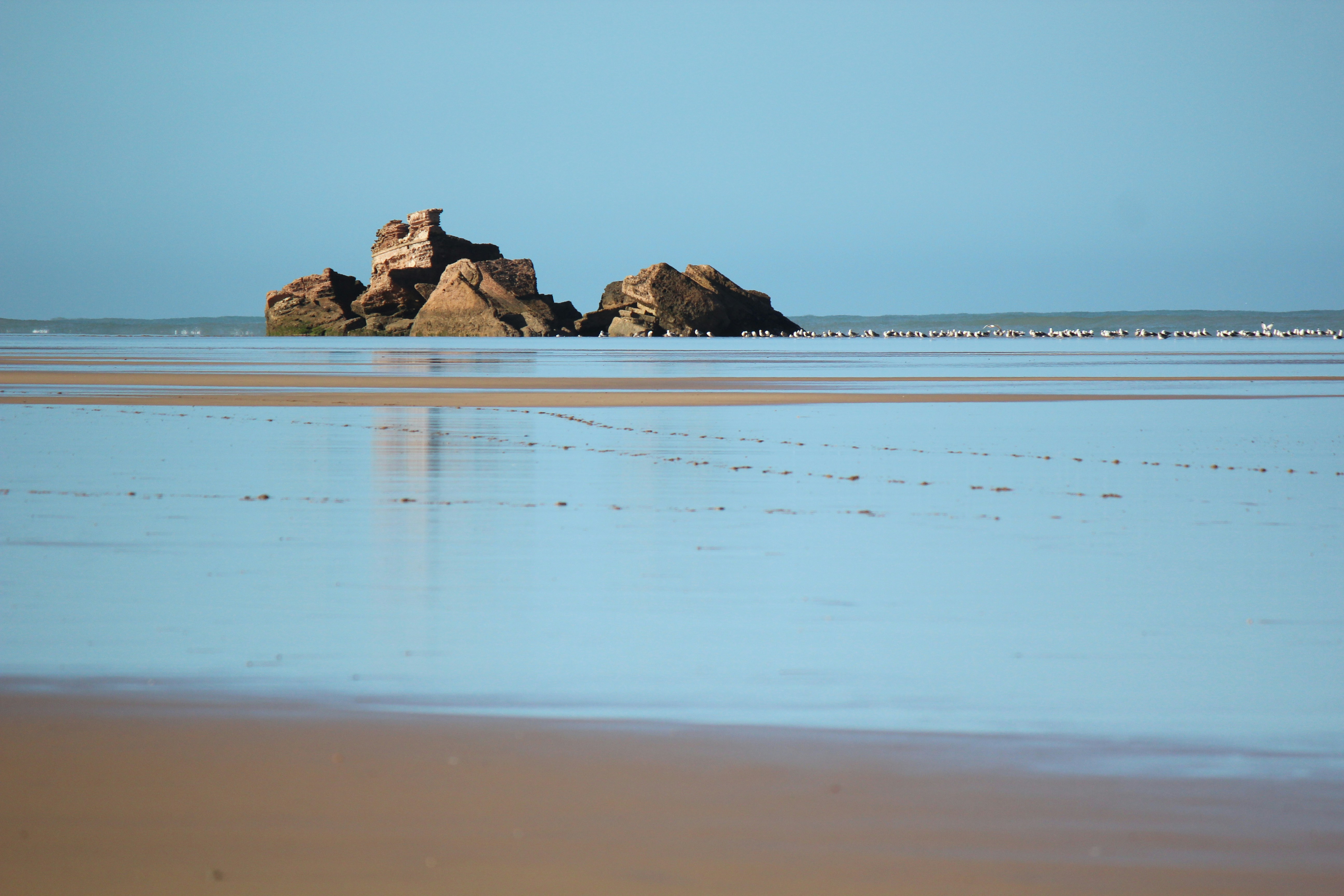 Photo by elmountassir1