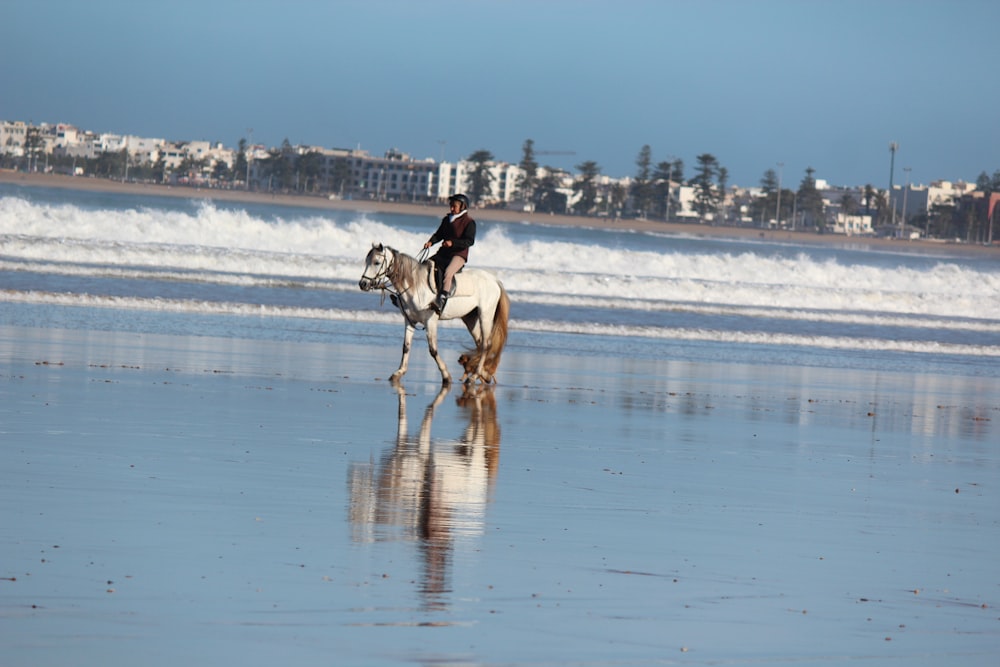 a person riding a horse on the beach