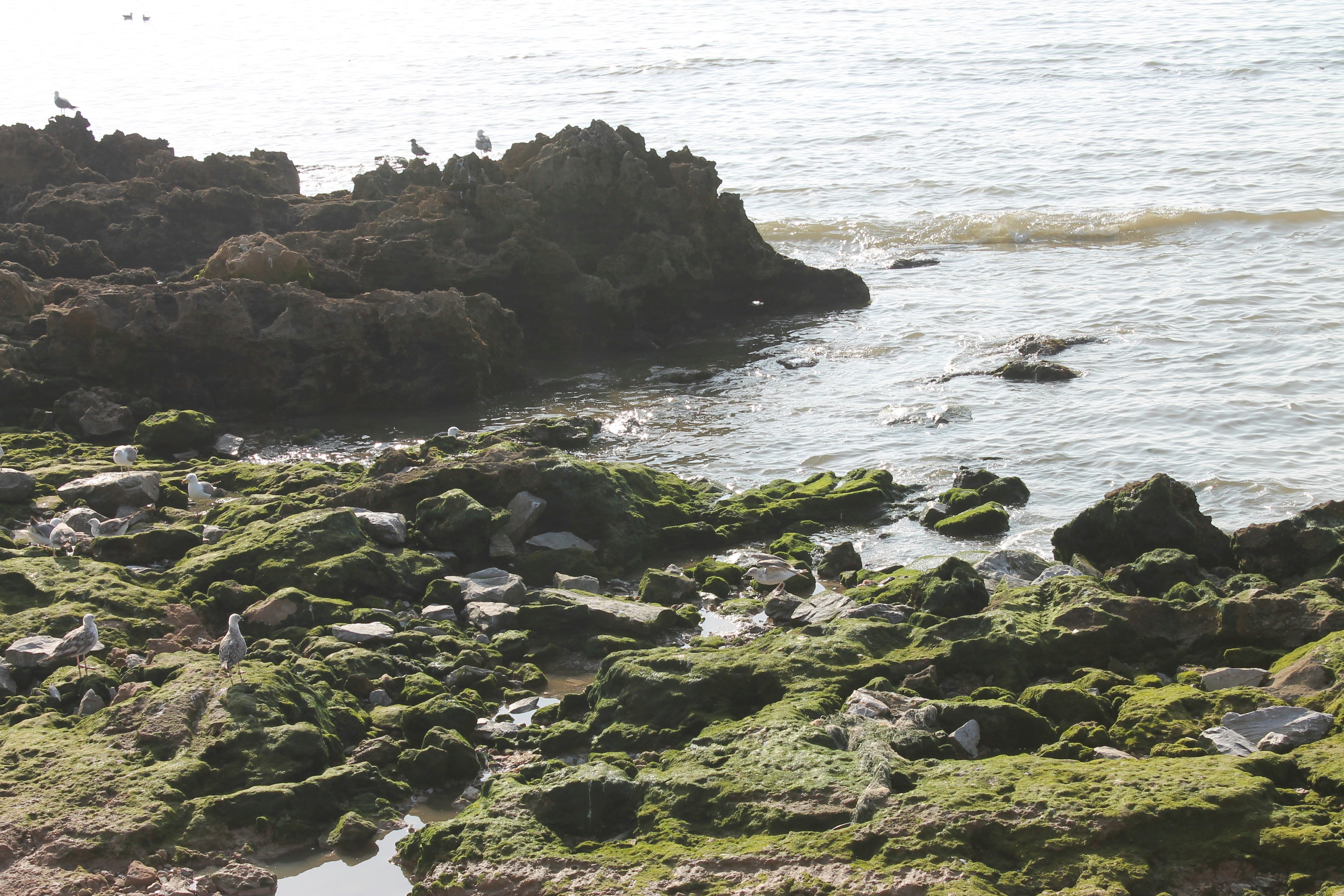 Photo by elmountassir1