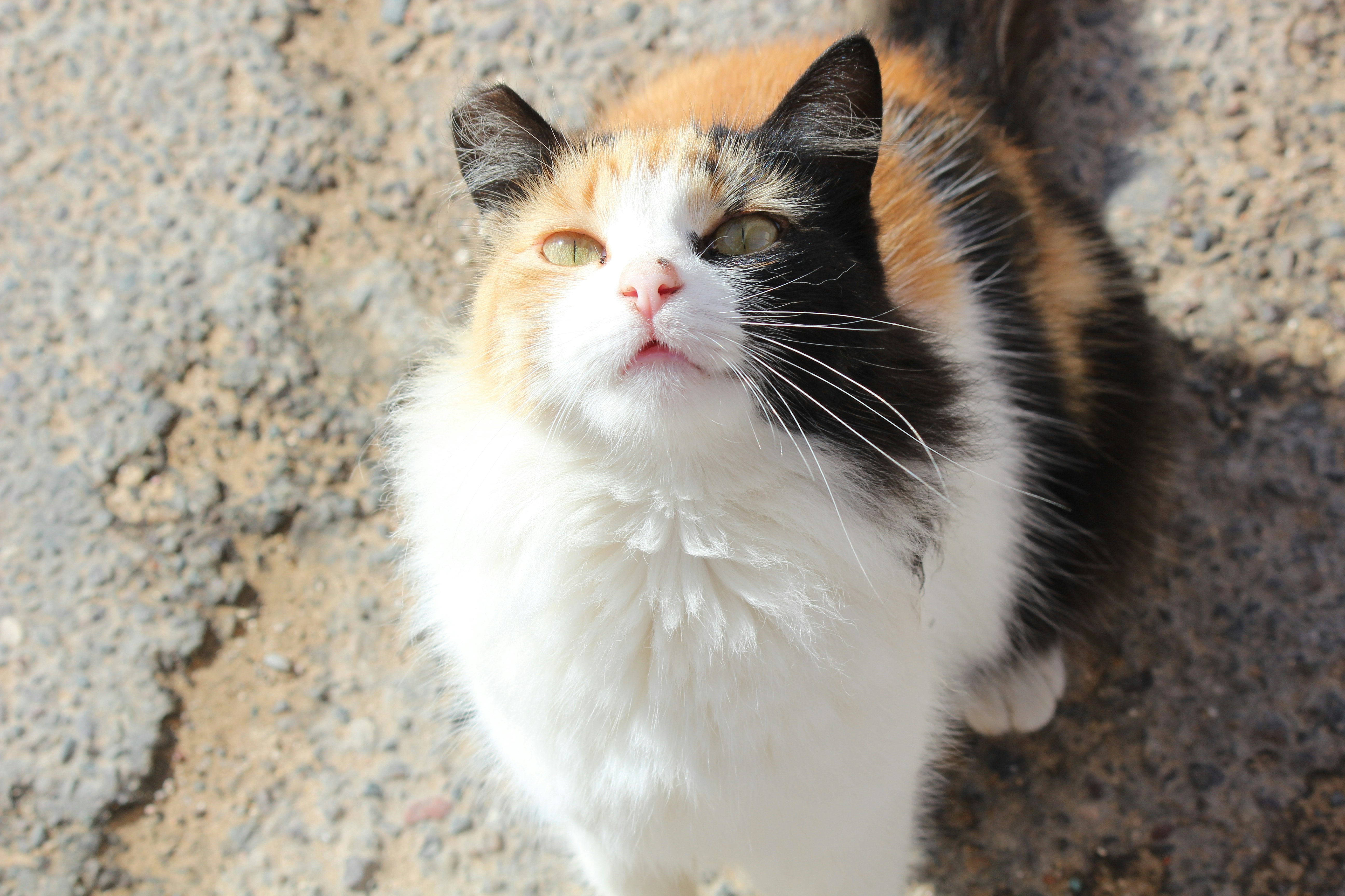 Photo by elmountassir1